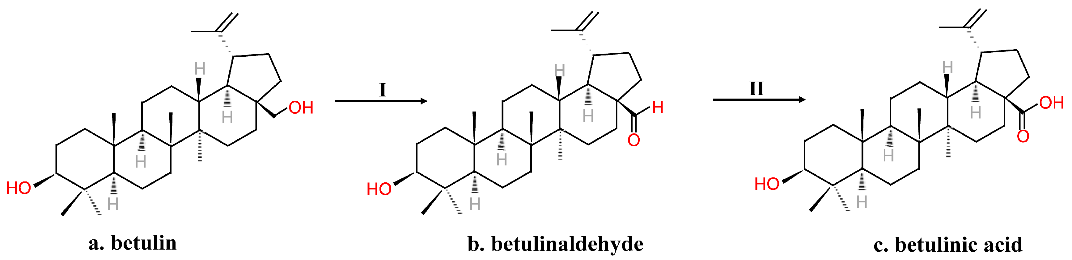Molecules 26 05583 g004 Molecules 26 05583 g004