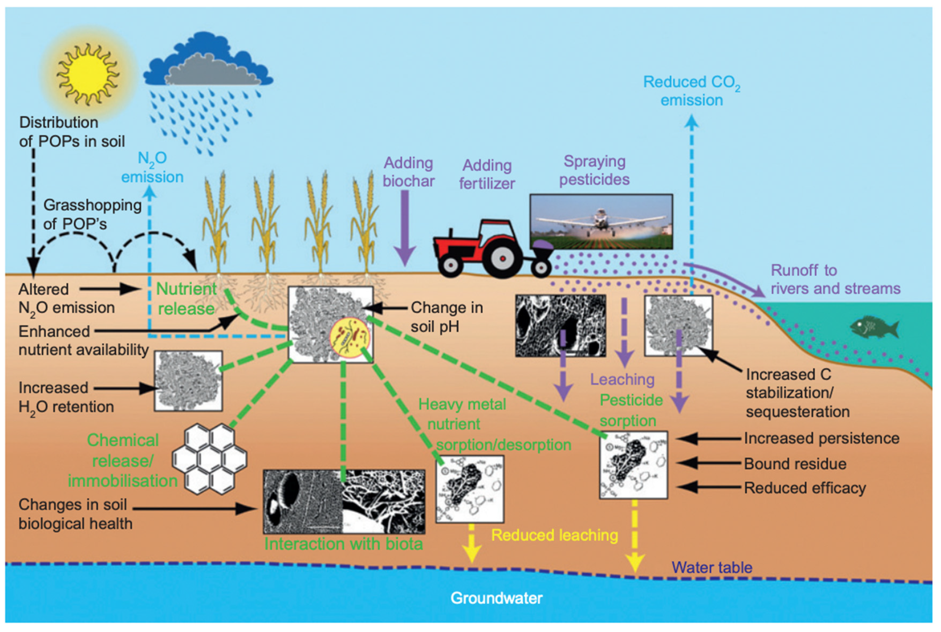 Molecules 26 05584 g005