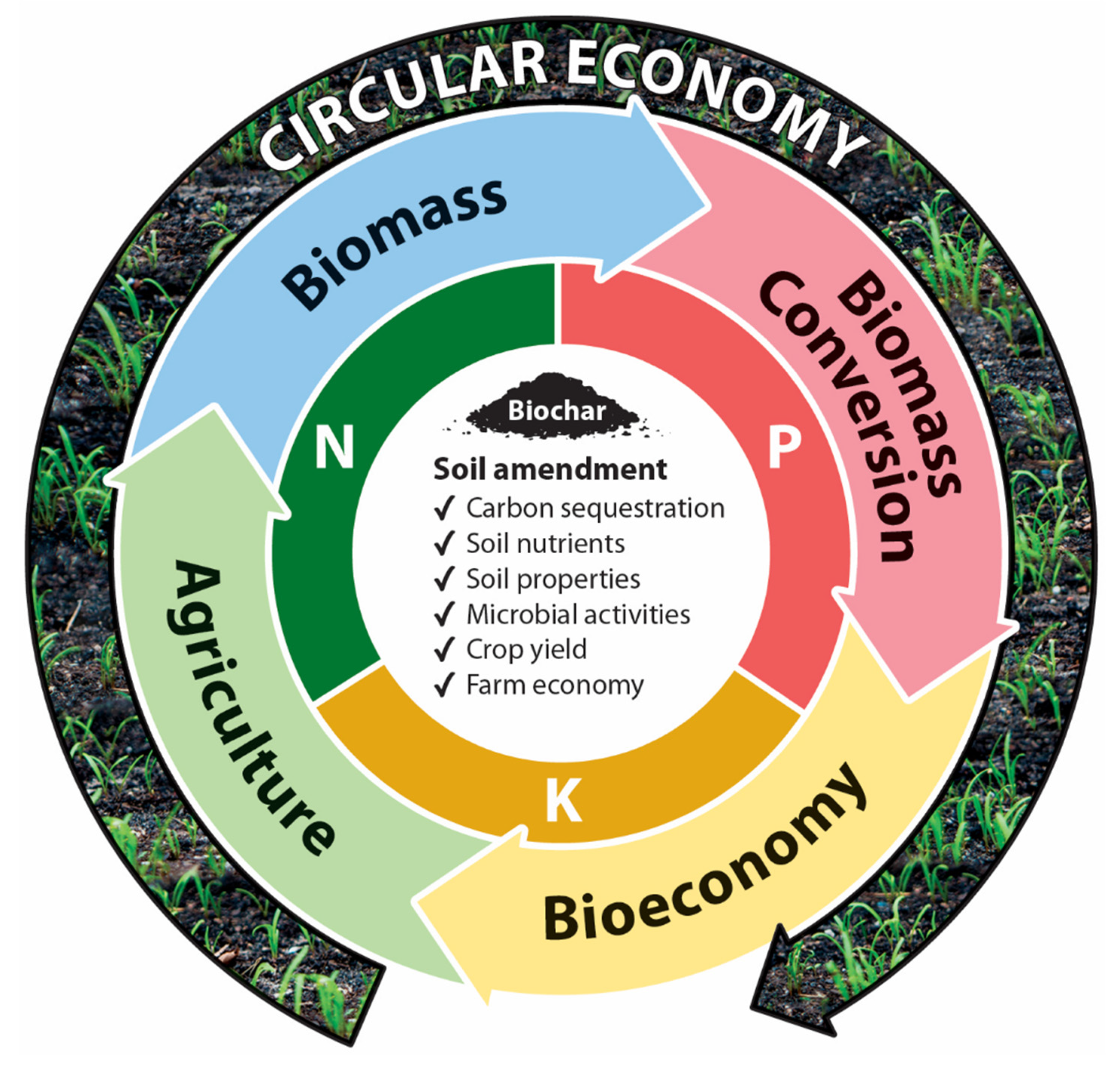 Molecules 26 05584 g006