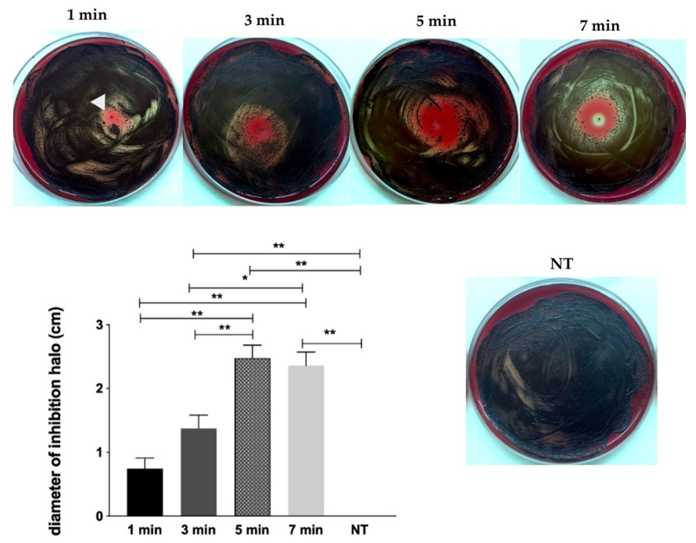 Molecules 26 05590 g001