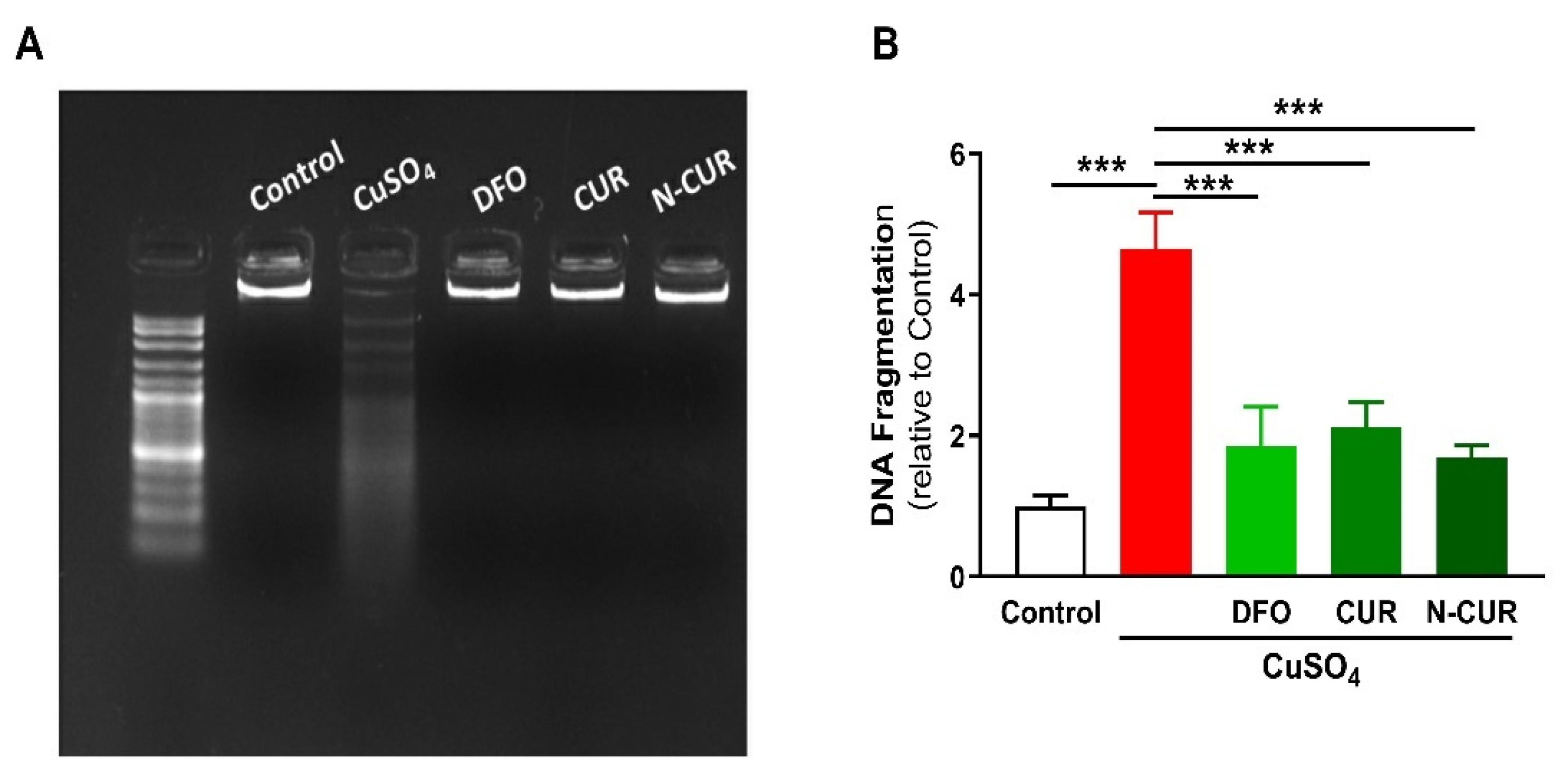 Molecules 26 05591 g004