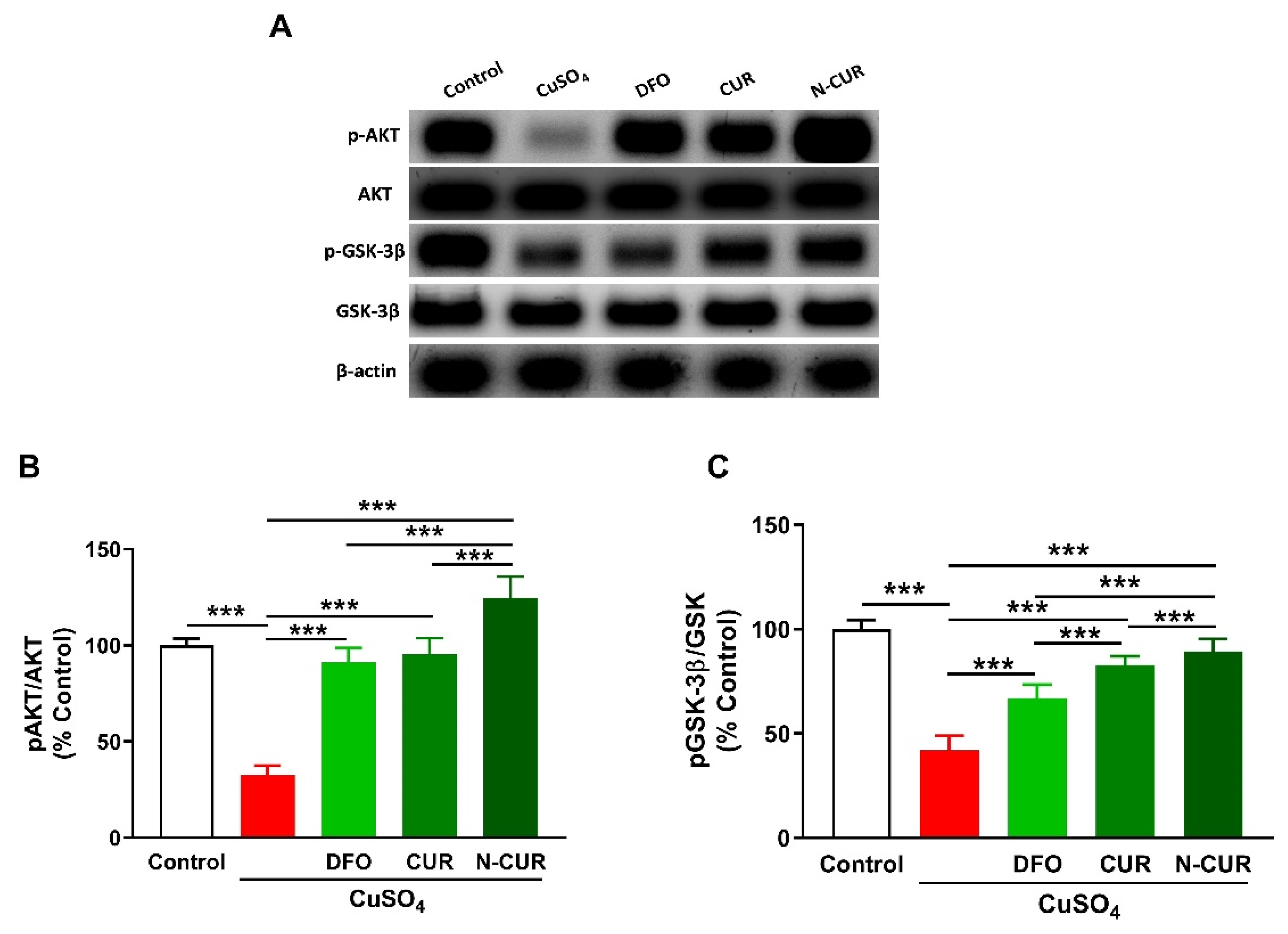Molecules 26 05591 g005