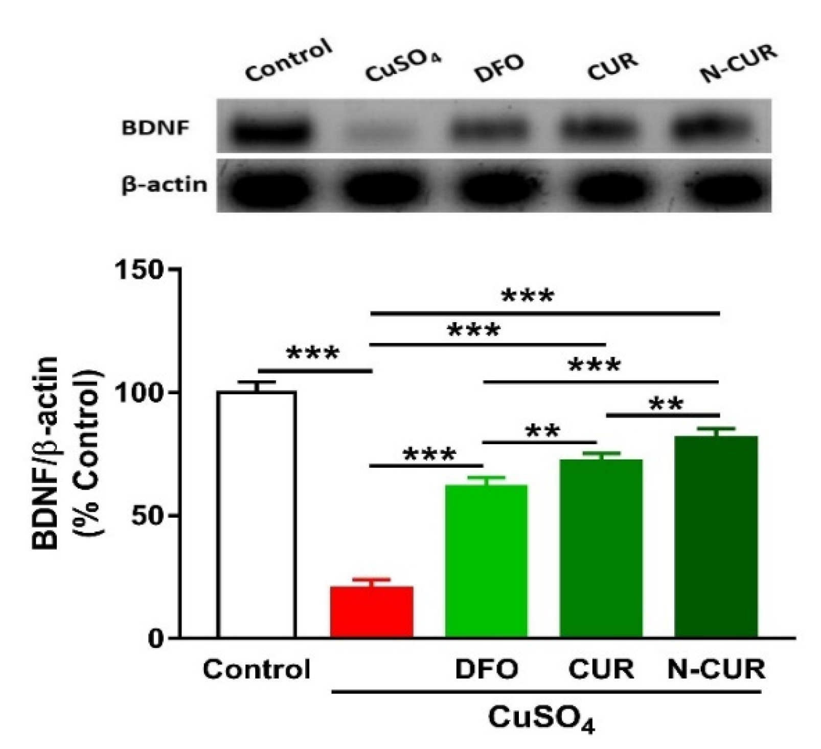 Molecules 26 05591 g006