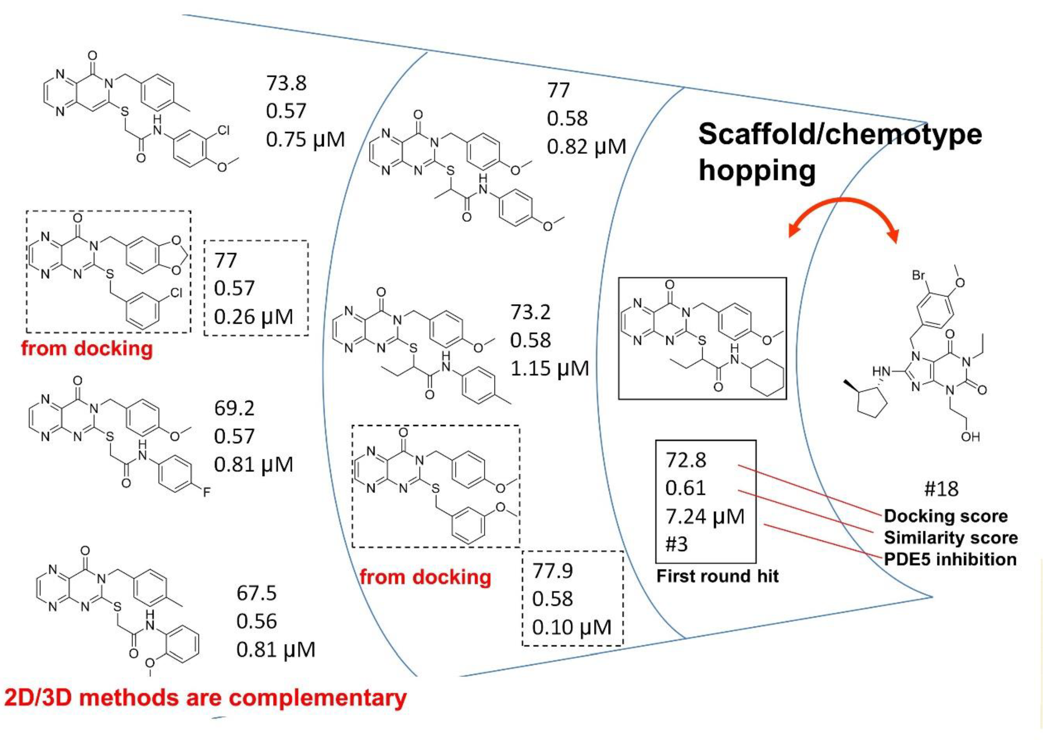 Molecules 26 05593 g019