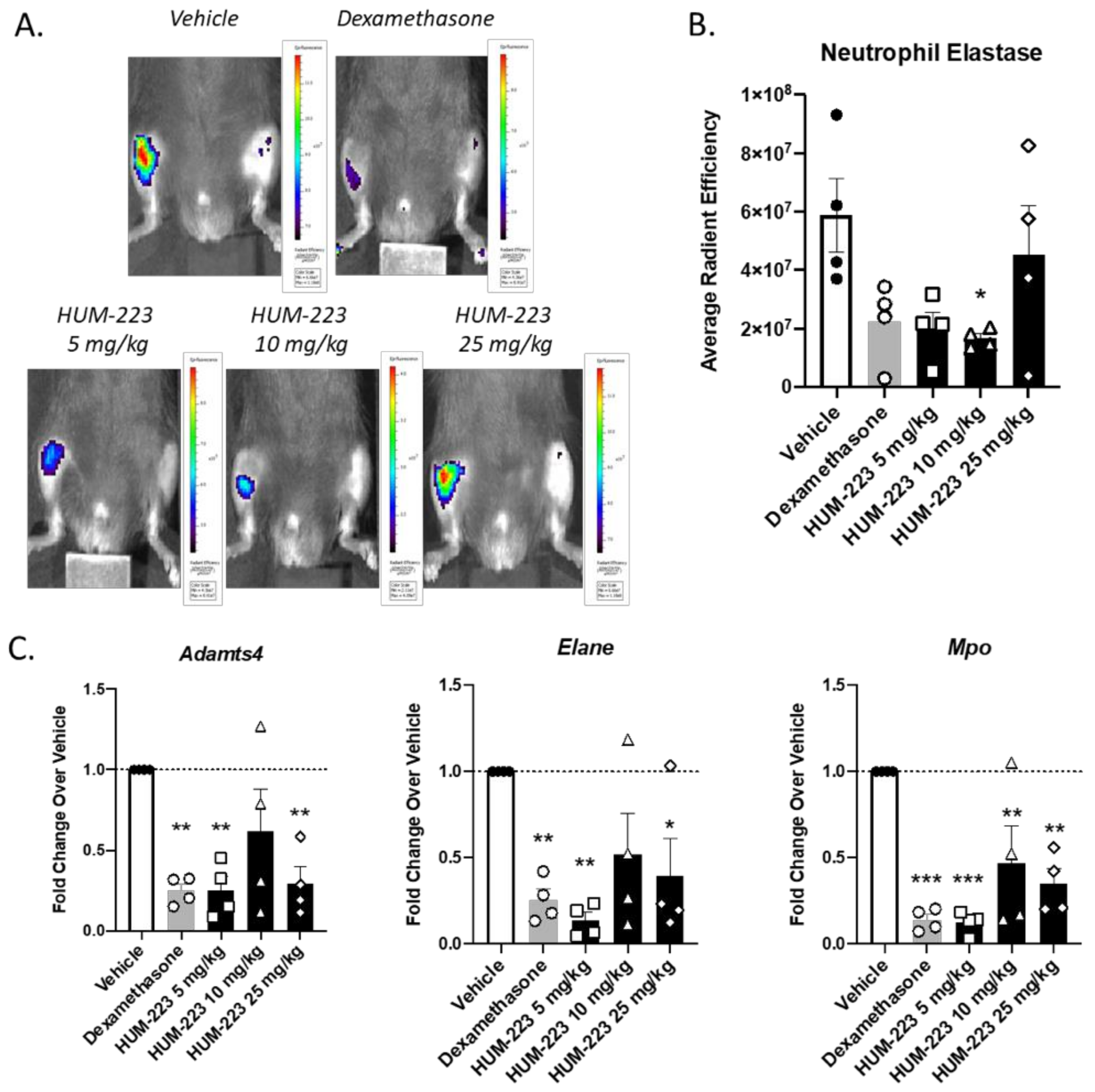 Molecules 26 05601 g004