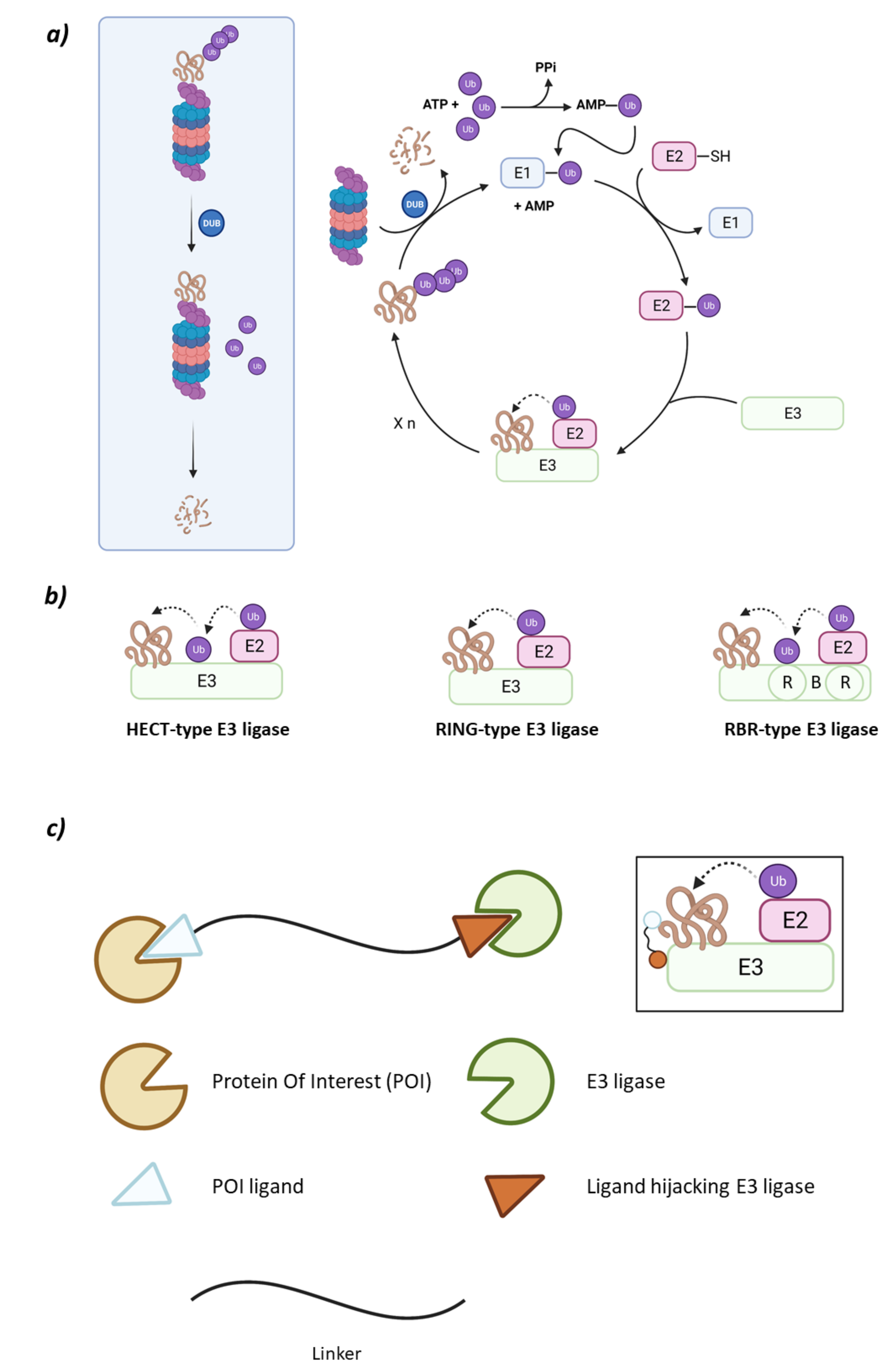 Molecules 26 05606 g001
