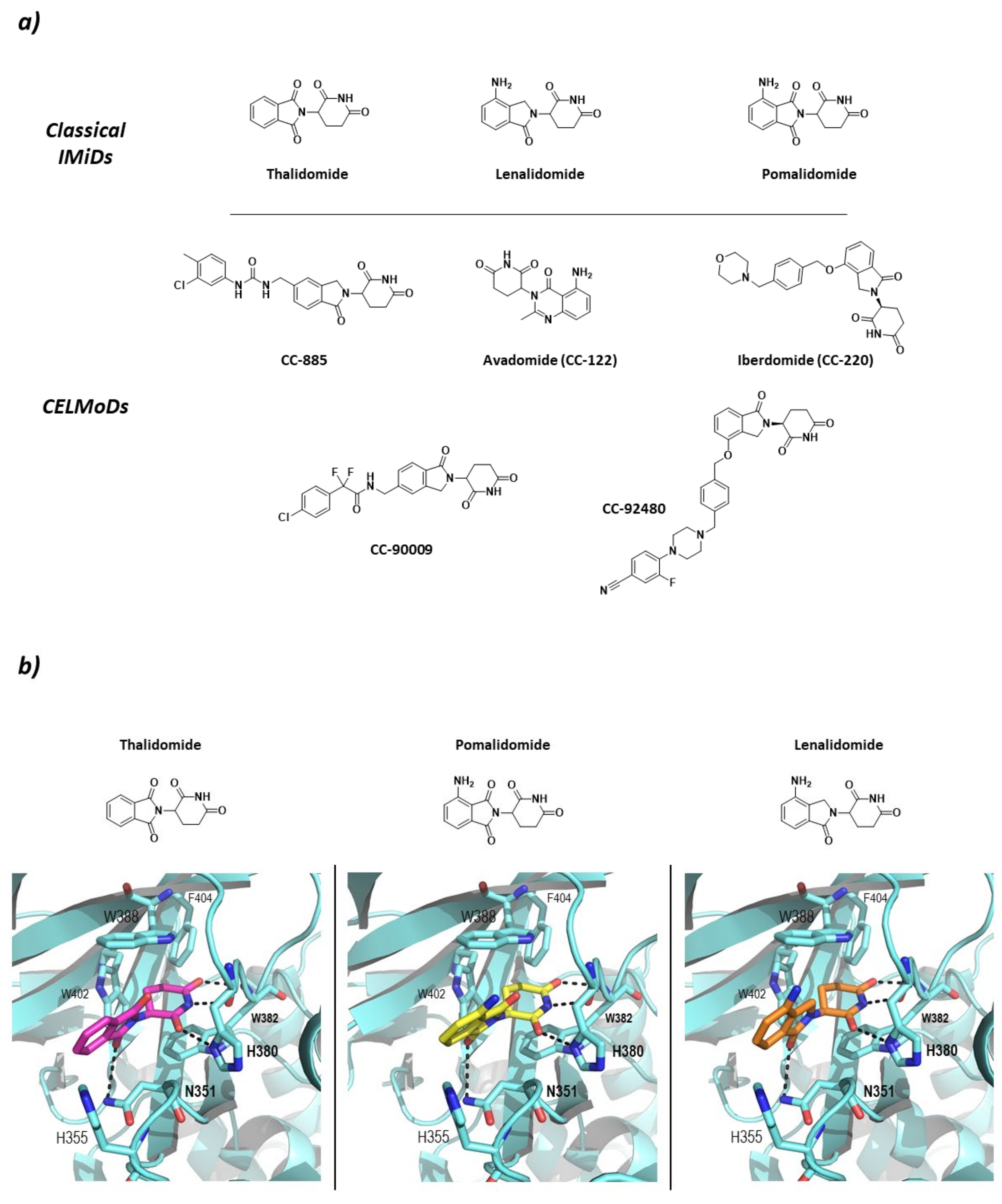 Molecules 26 05606 g006