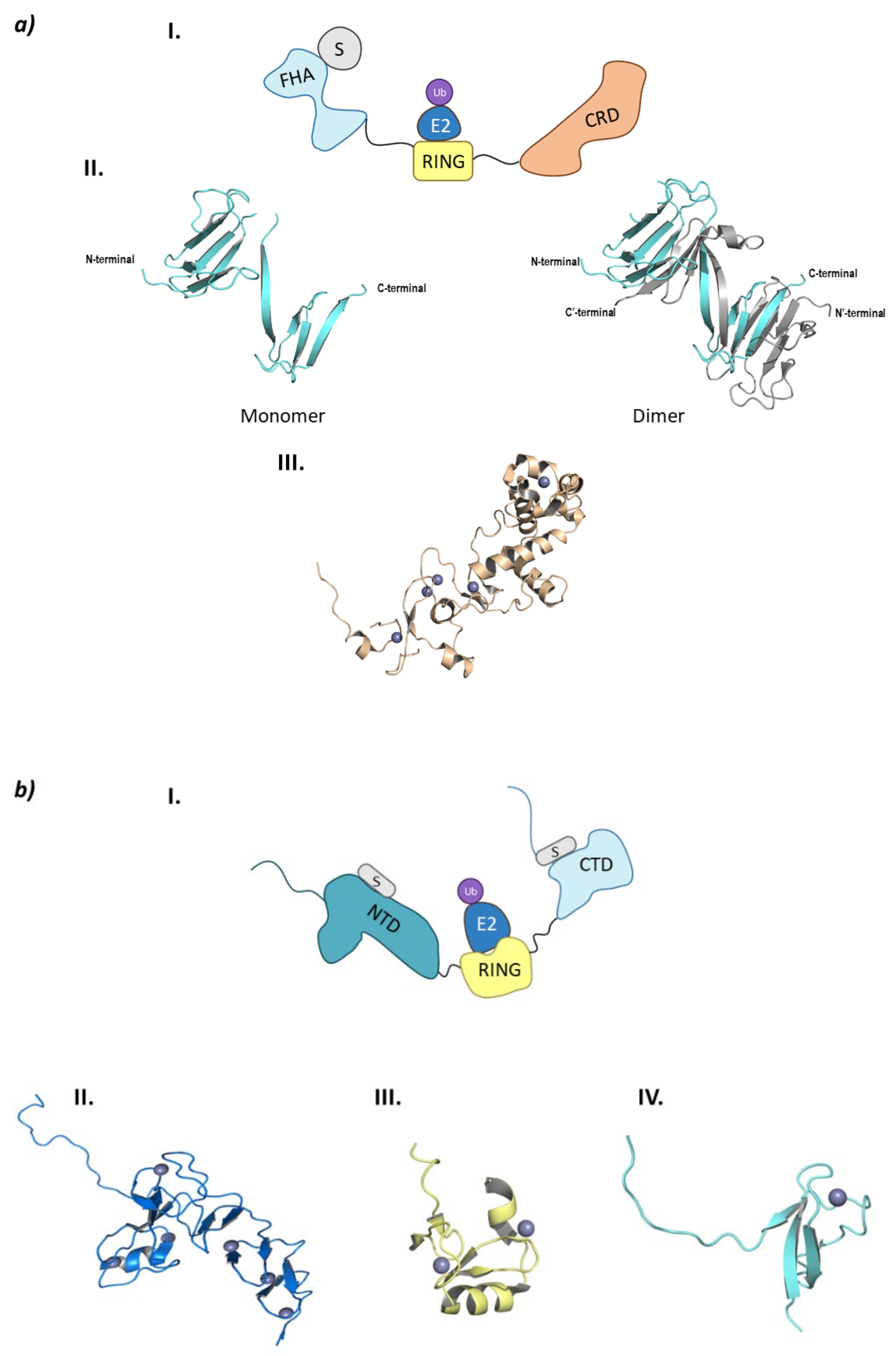 Molecules 26 05606 g008a