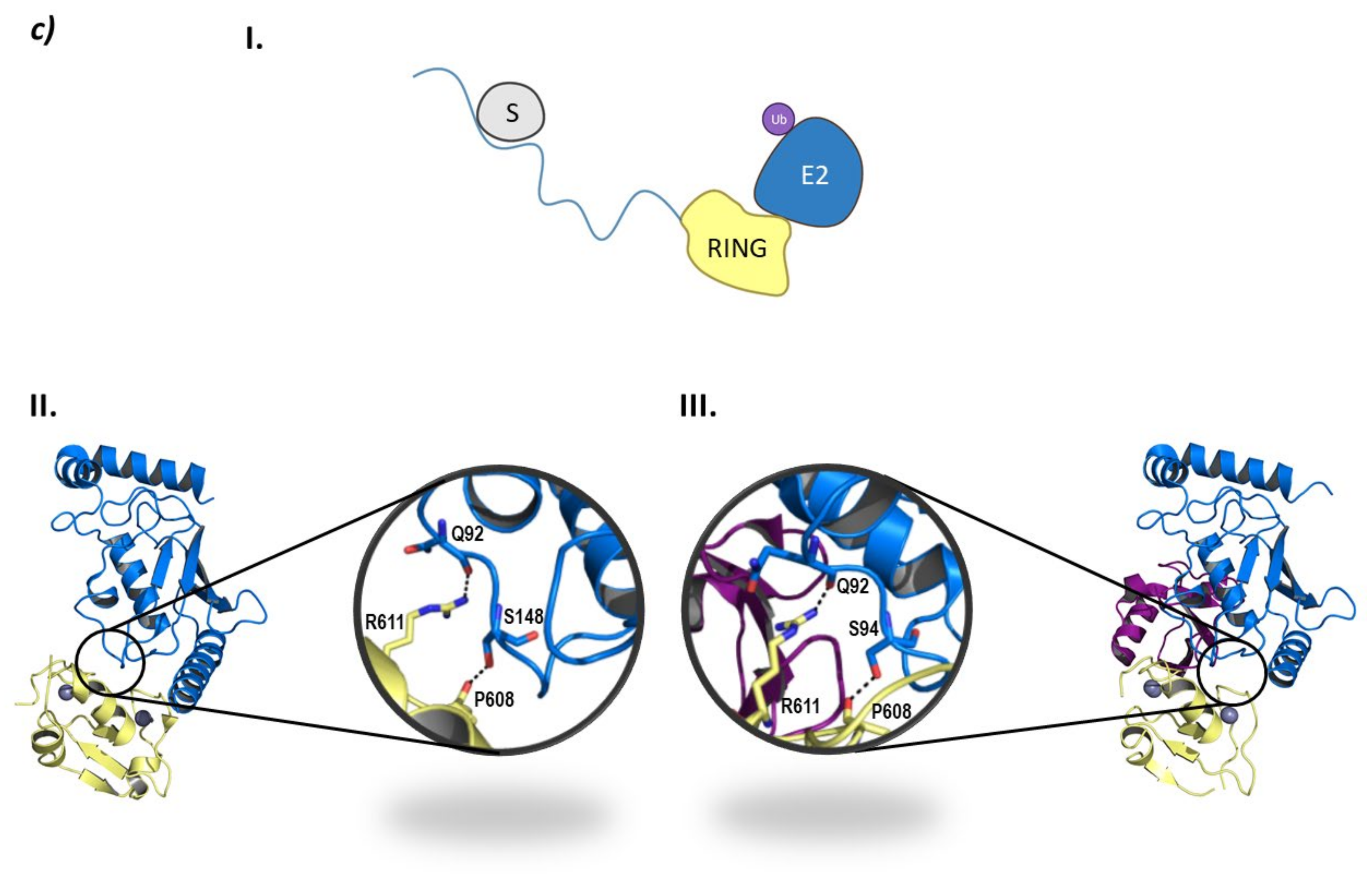 Molecules 26 05606 g008b