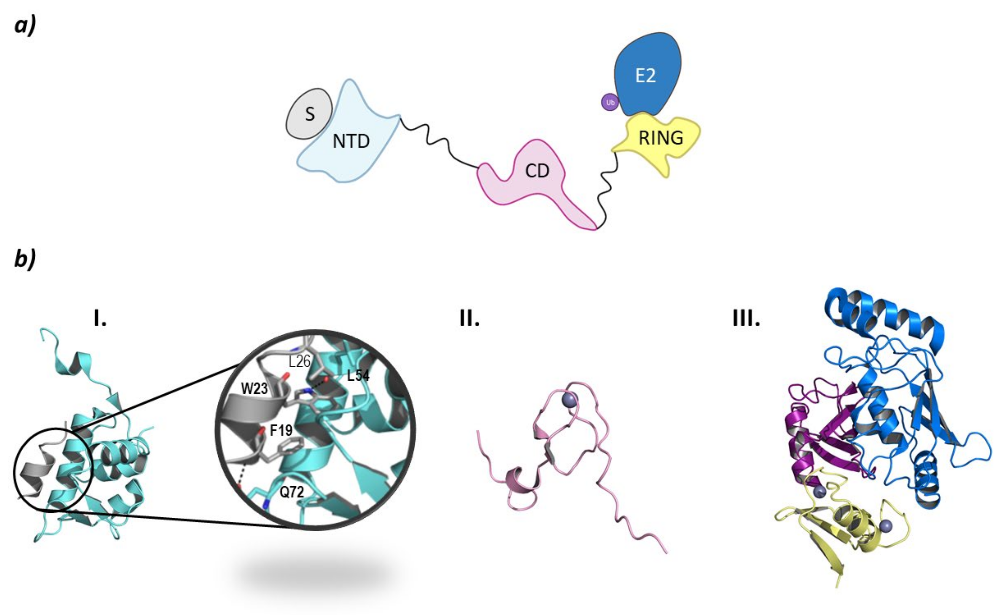 Molecules 26 05606 g010a