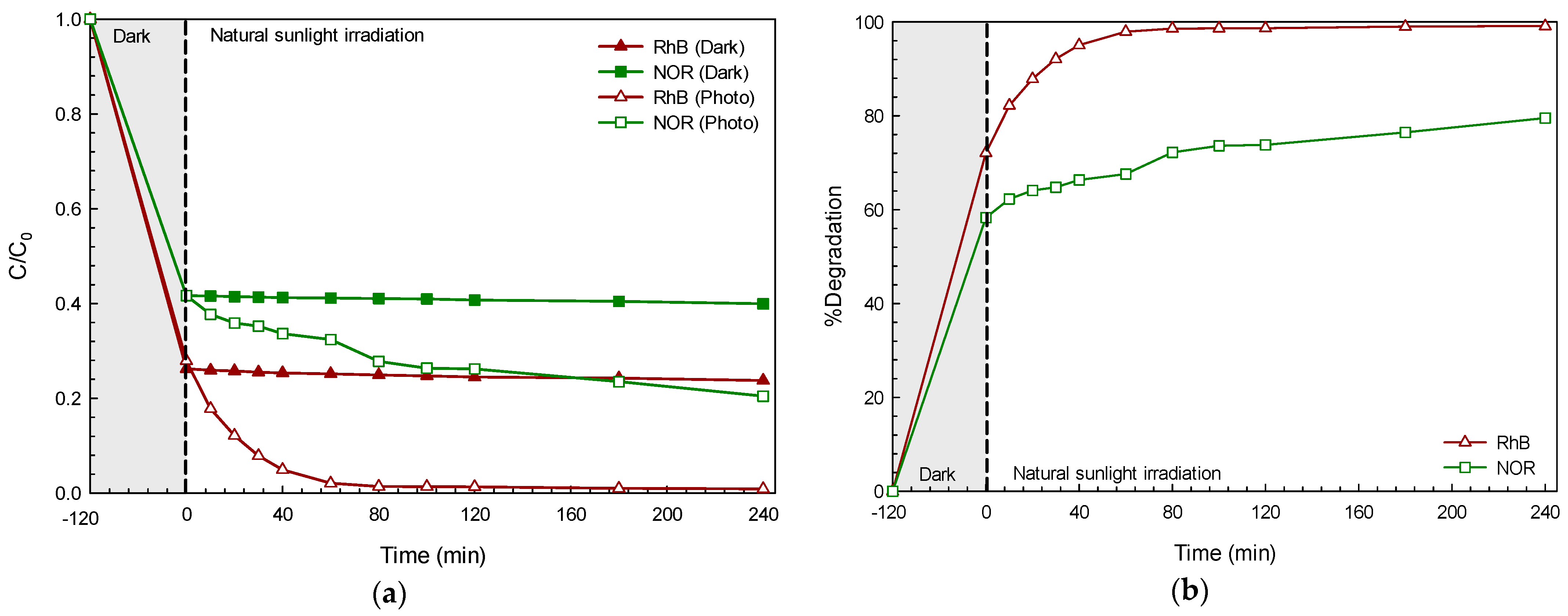 Molecules 26 05624 g004