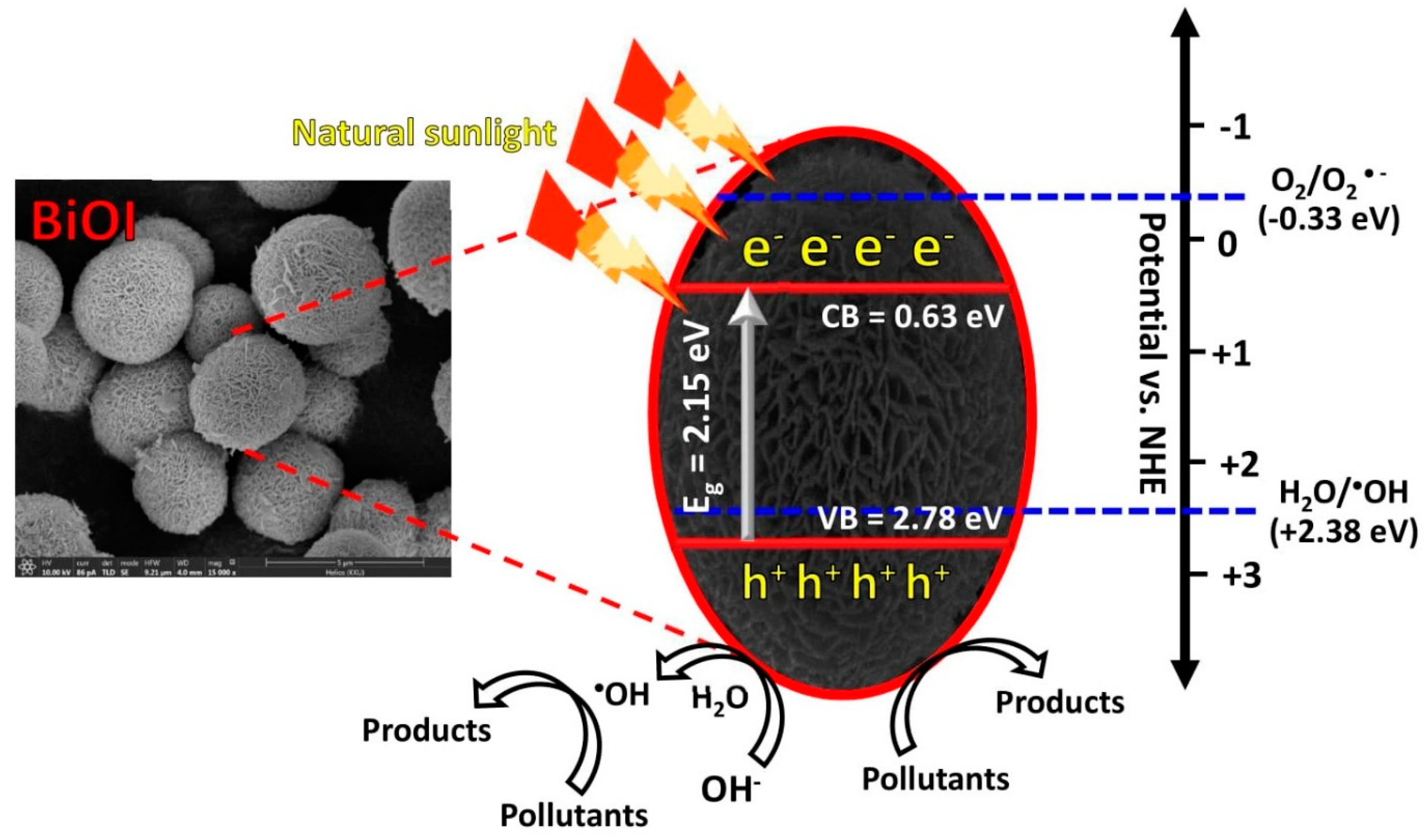 Molecules 26 05624 g008