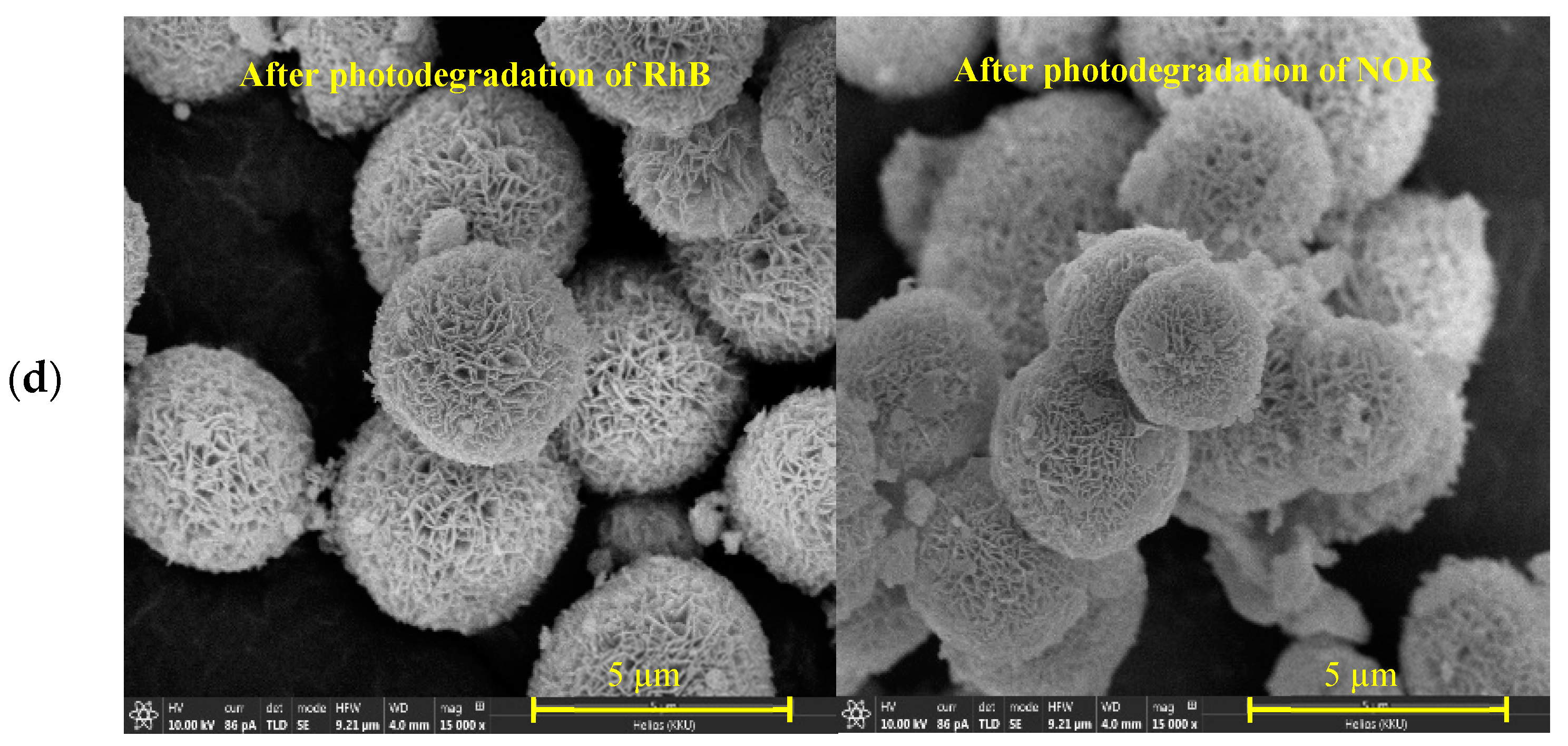 Molecules 26 05624 g009b