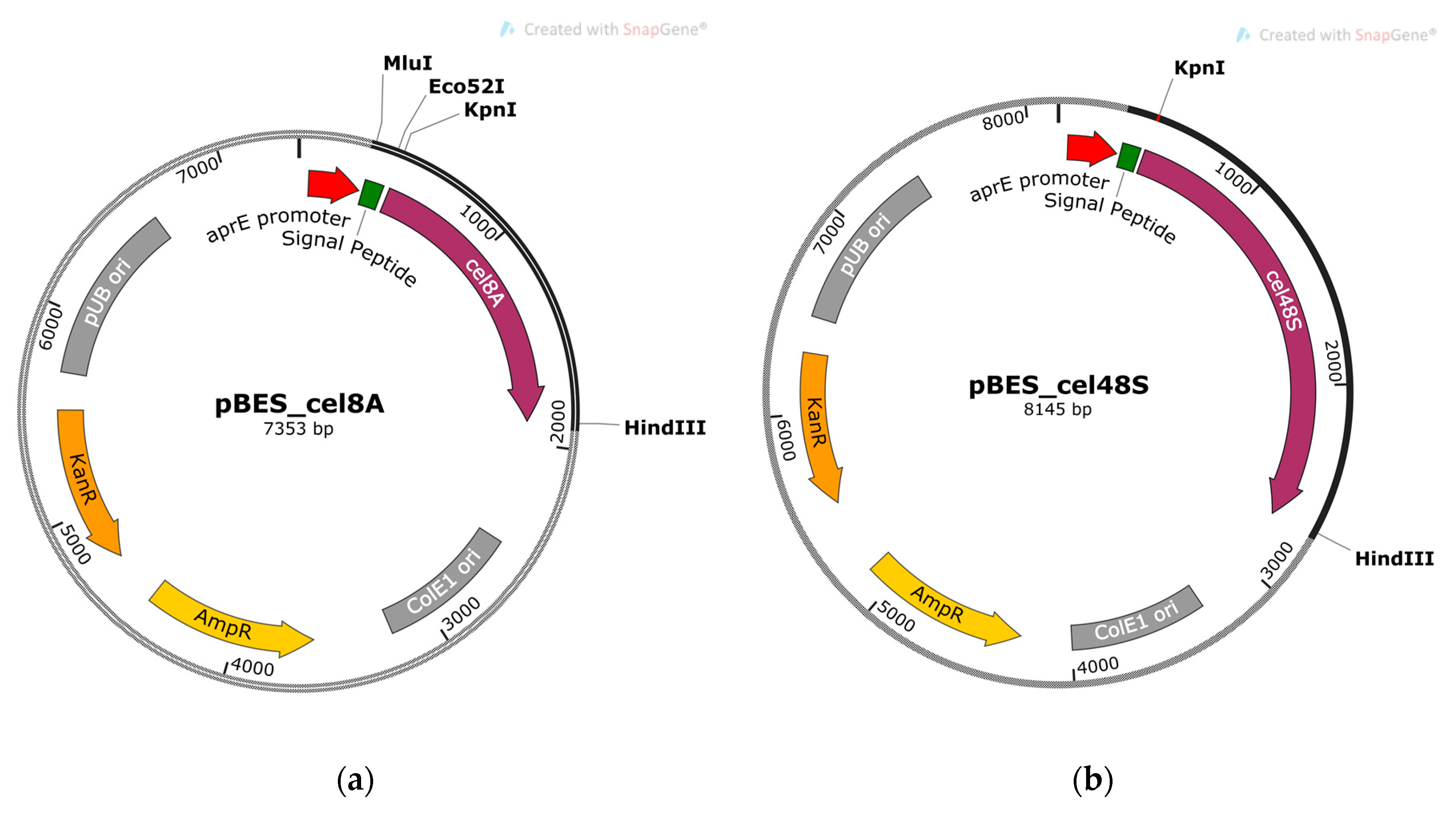 Molecules 26 05625 g001
