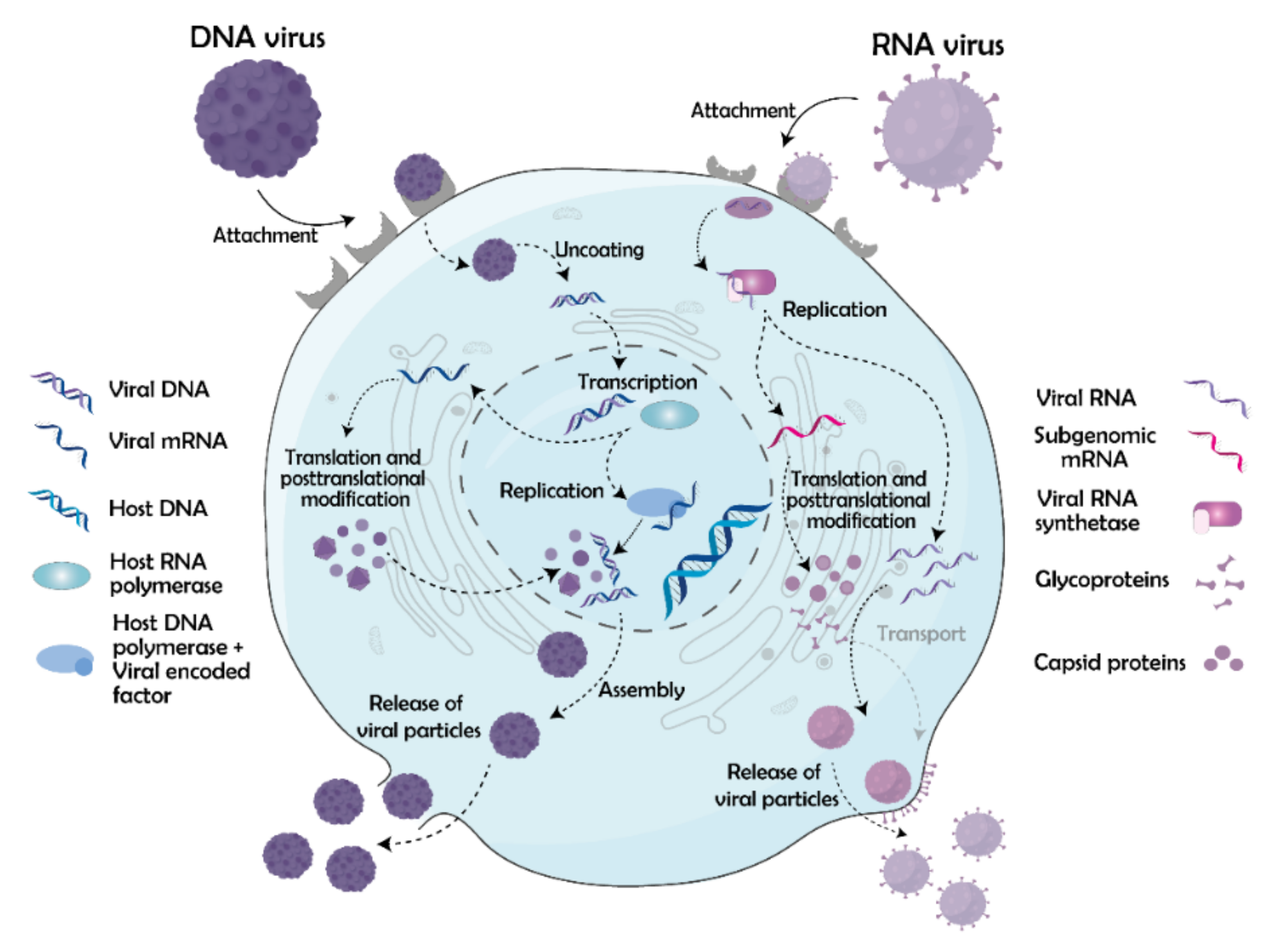 Molecules 26 05627 g002