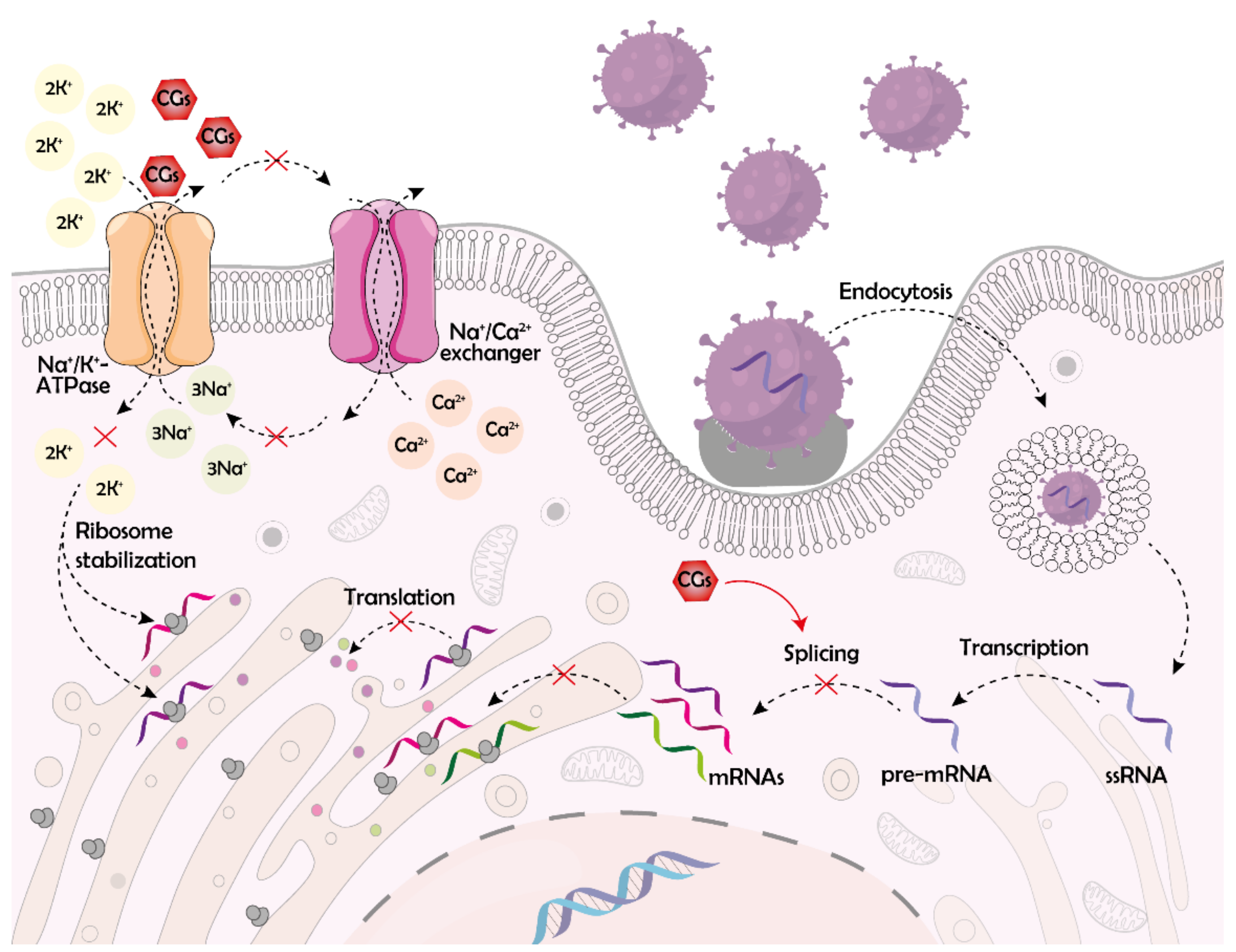 Molecules 26 05627 g004