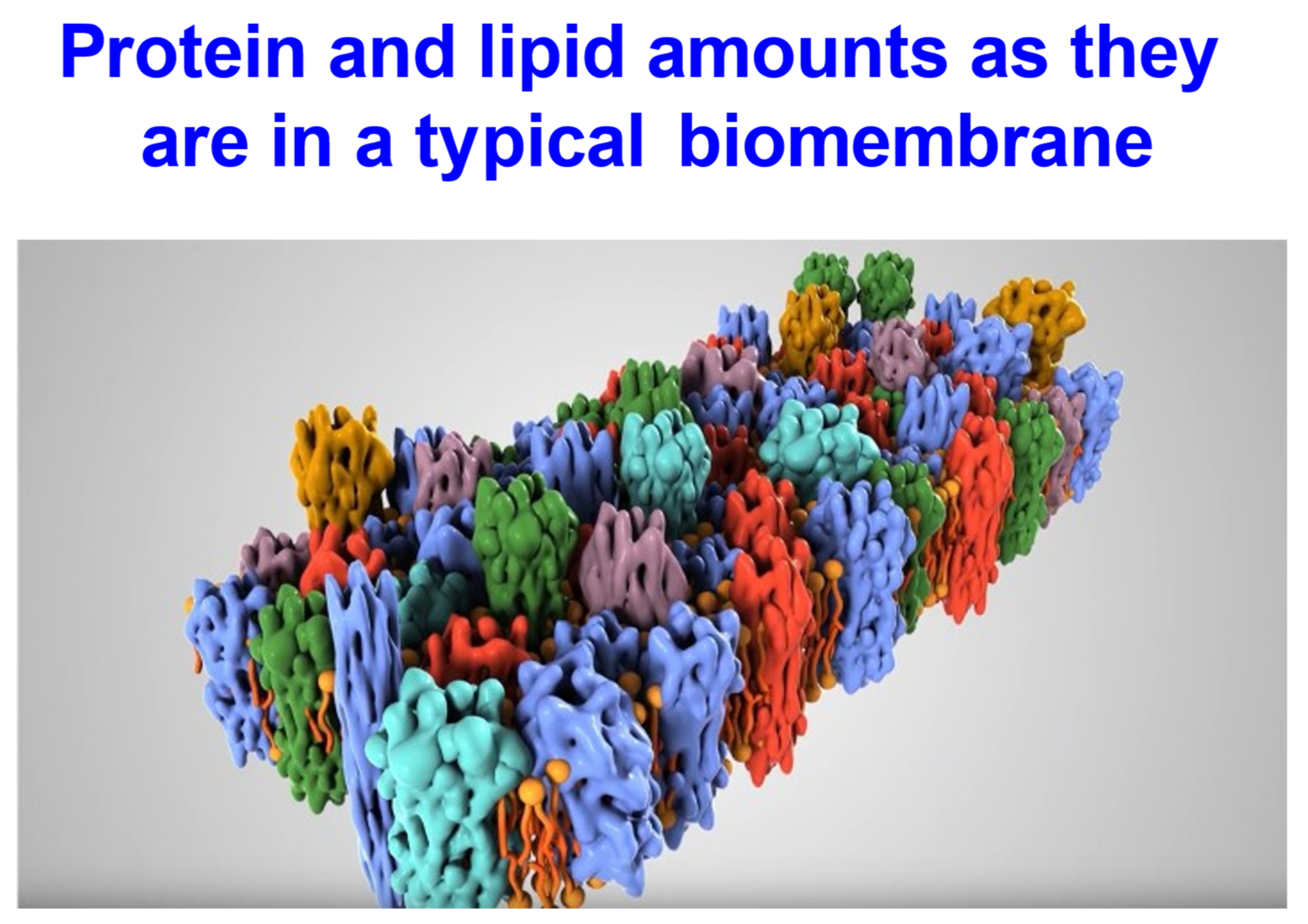 Molecules 26 05629 g002 Molecules 26 05629 g002