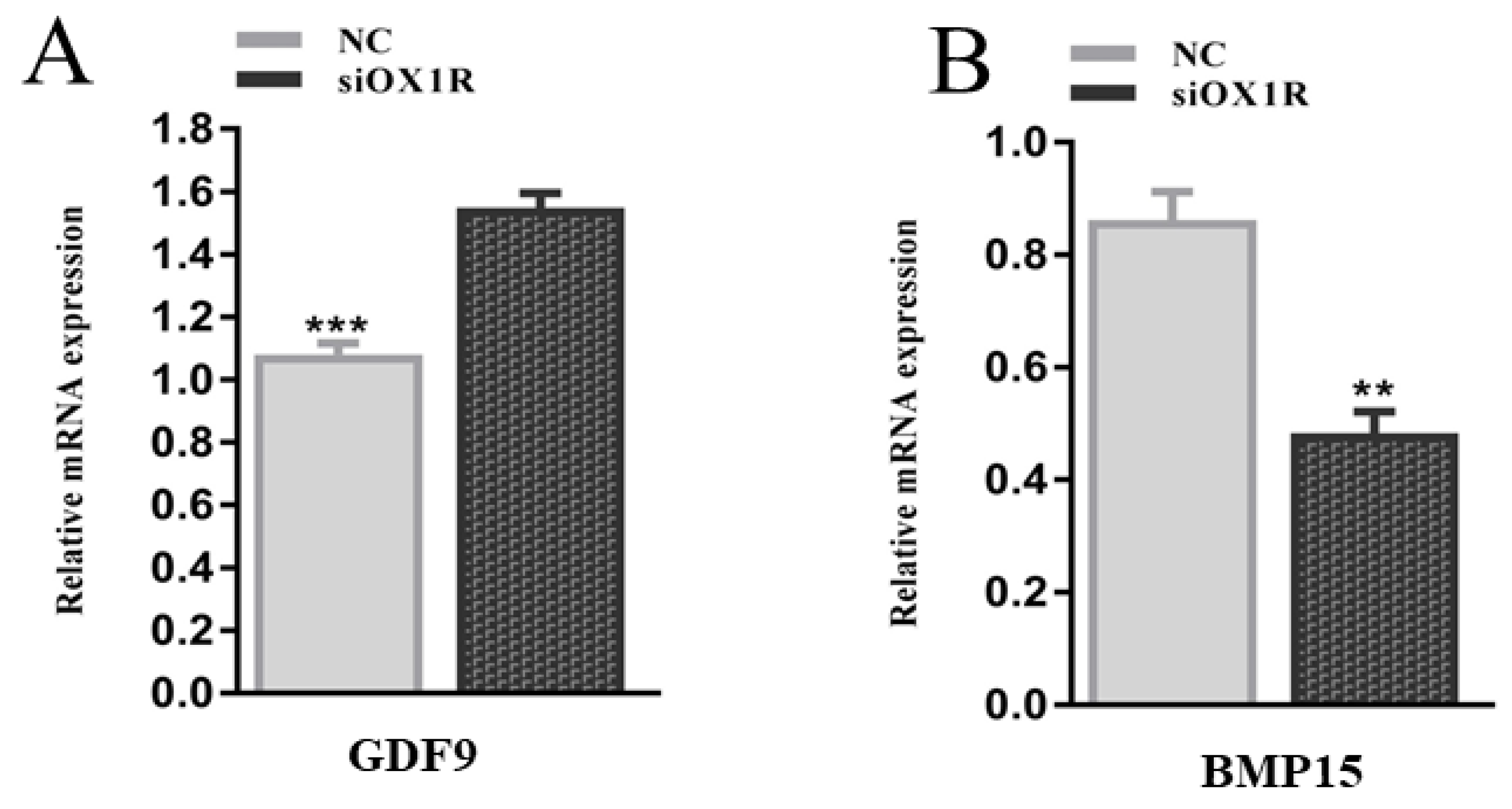 Molecules 26 05635 g008