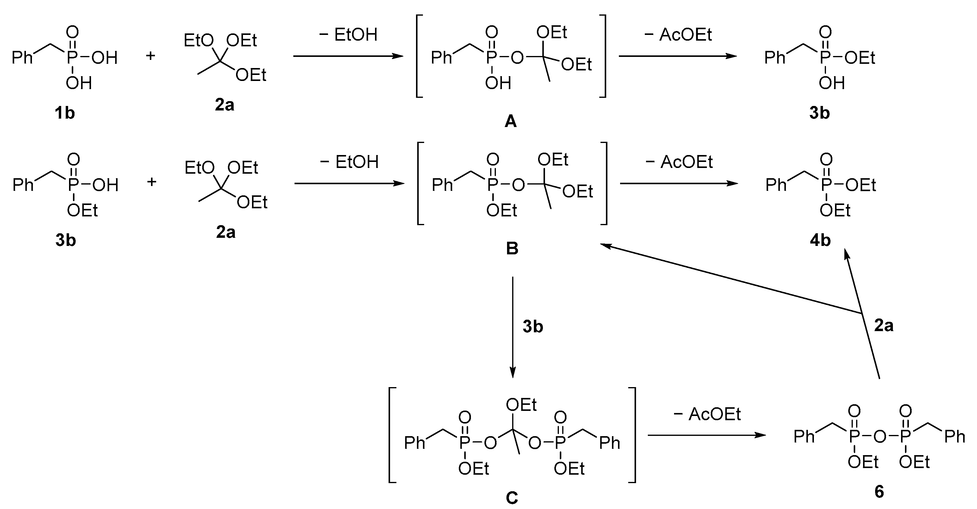 Molecules 26 05637 sch002