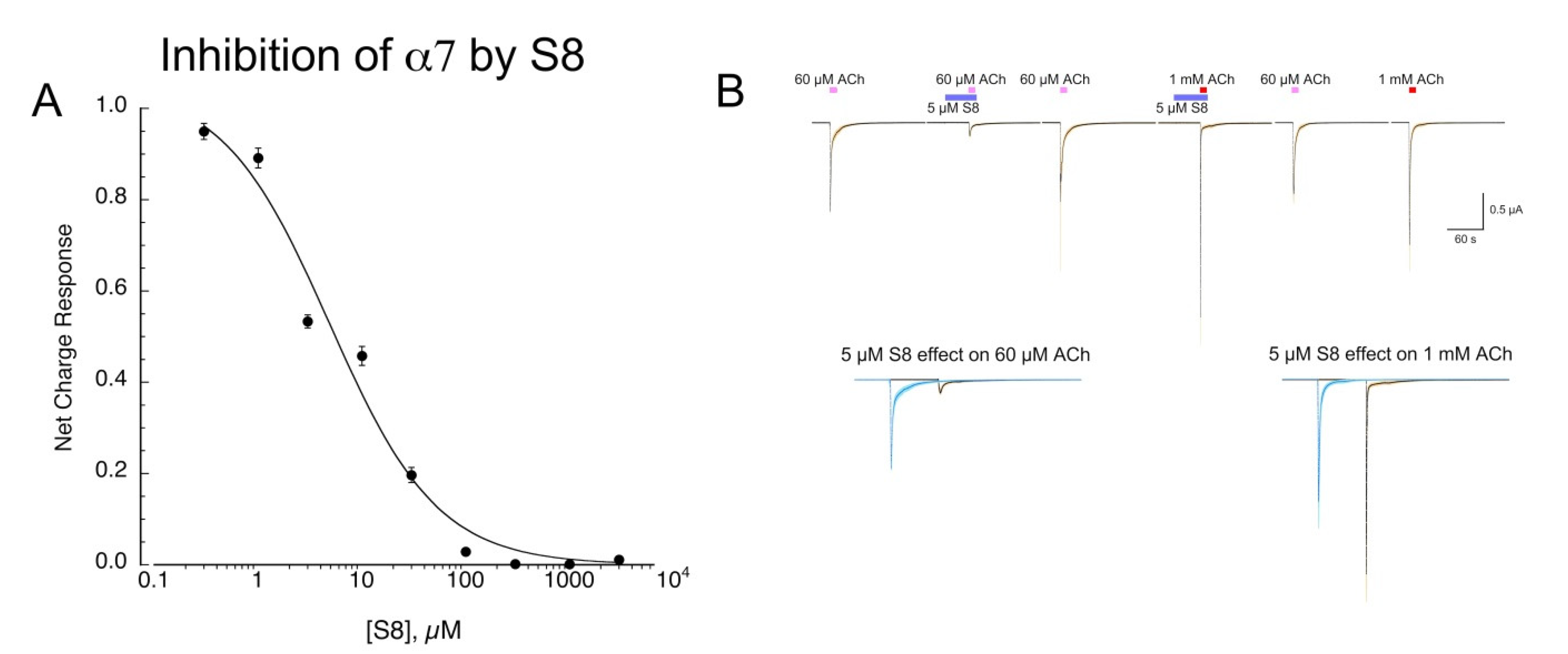 Molecules 26 05643 g005