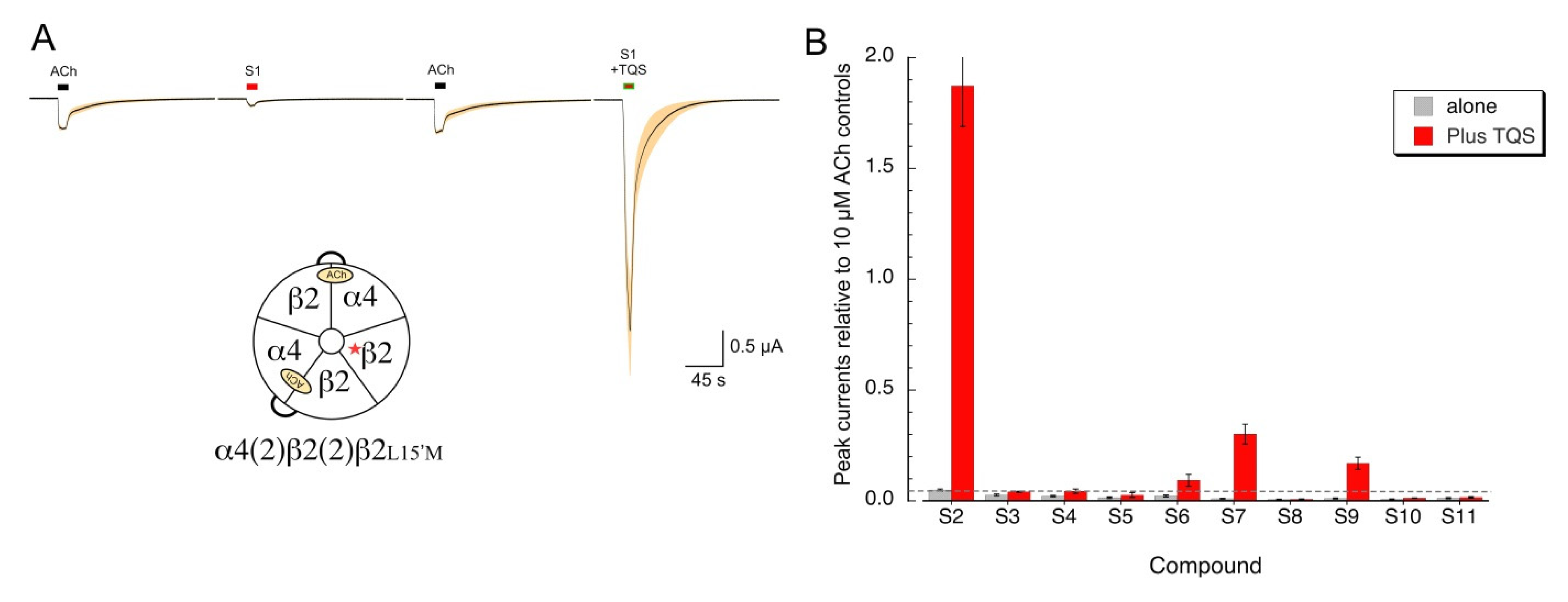 Molecules 26 05643 g008