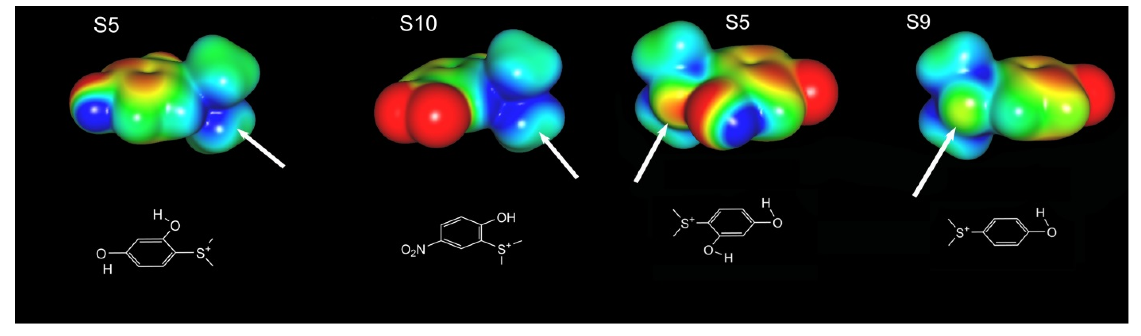 Molecules 26 05643 g009