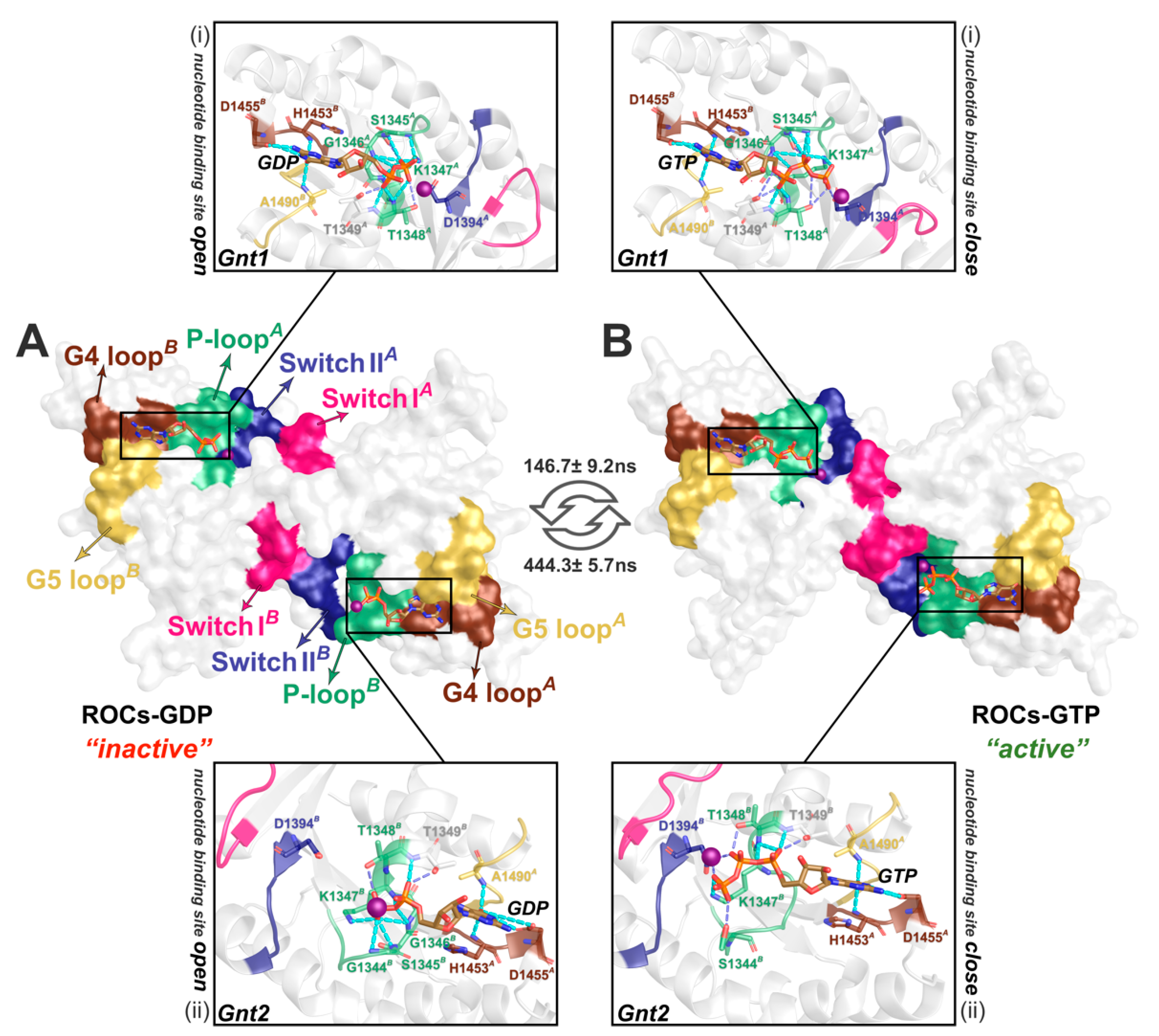 Molecules 26 05647 g003