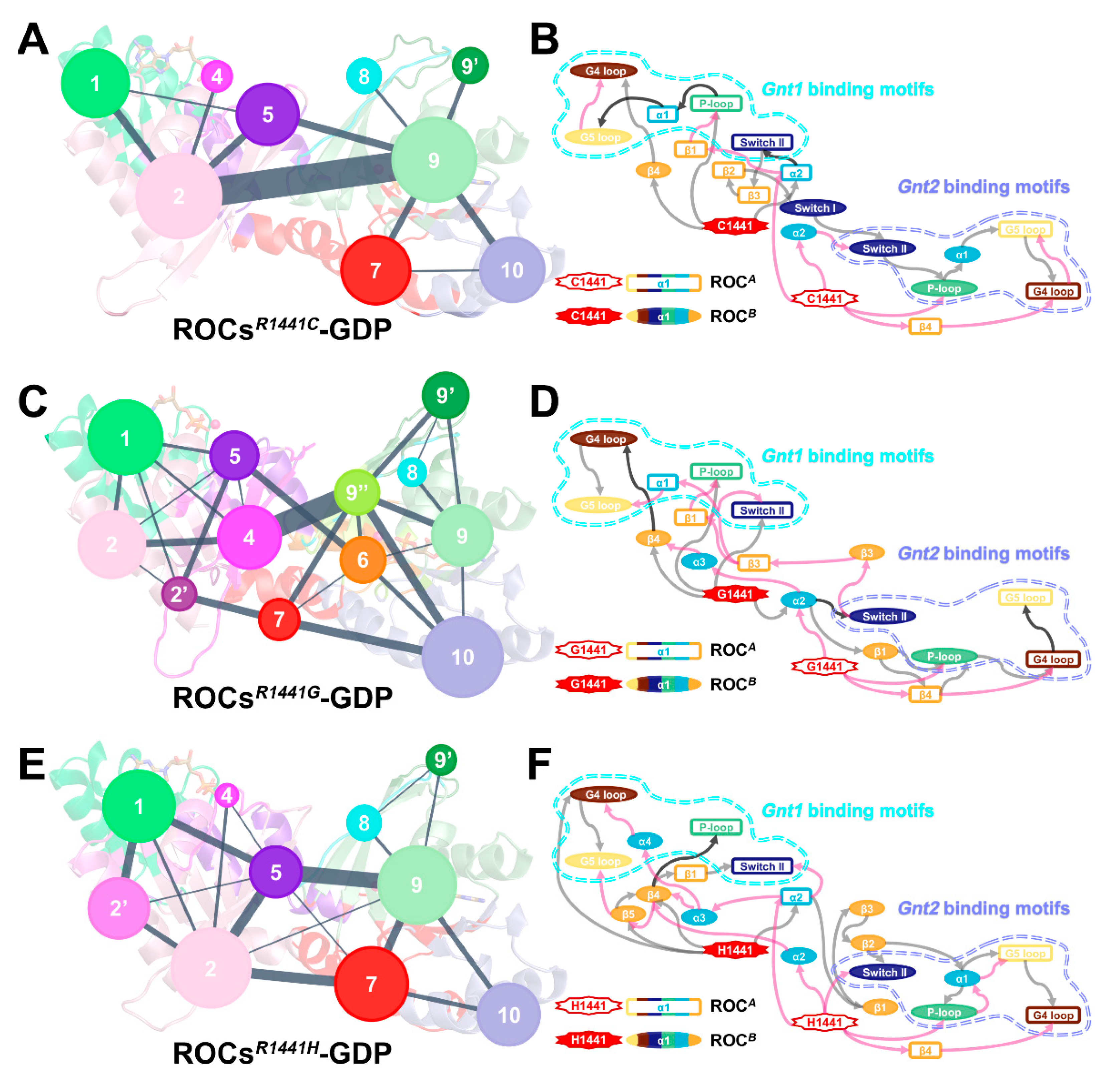 Molecules 26 05647 g006