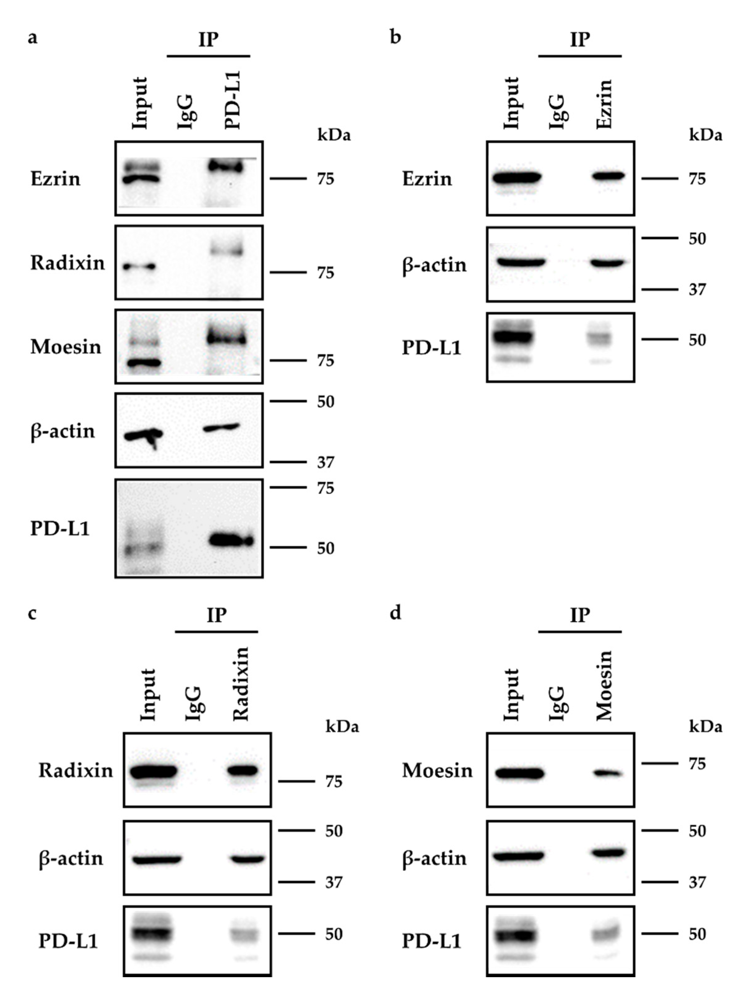 Molecules 26 05648 g004
