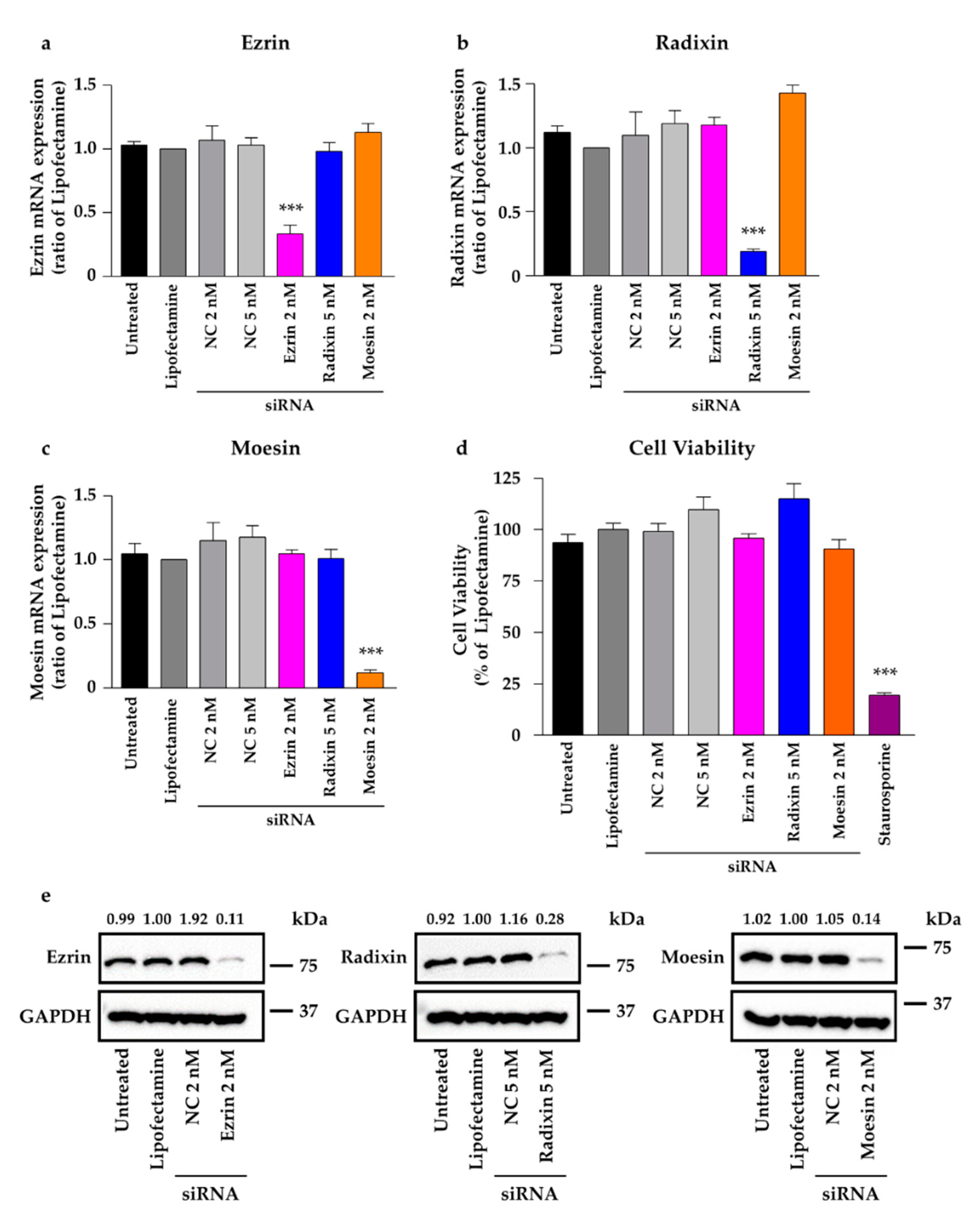 Molecules 26 05648 g005