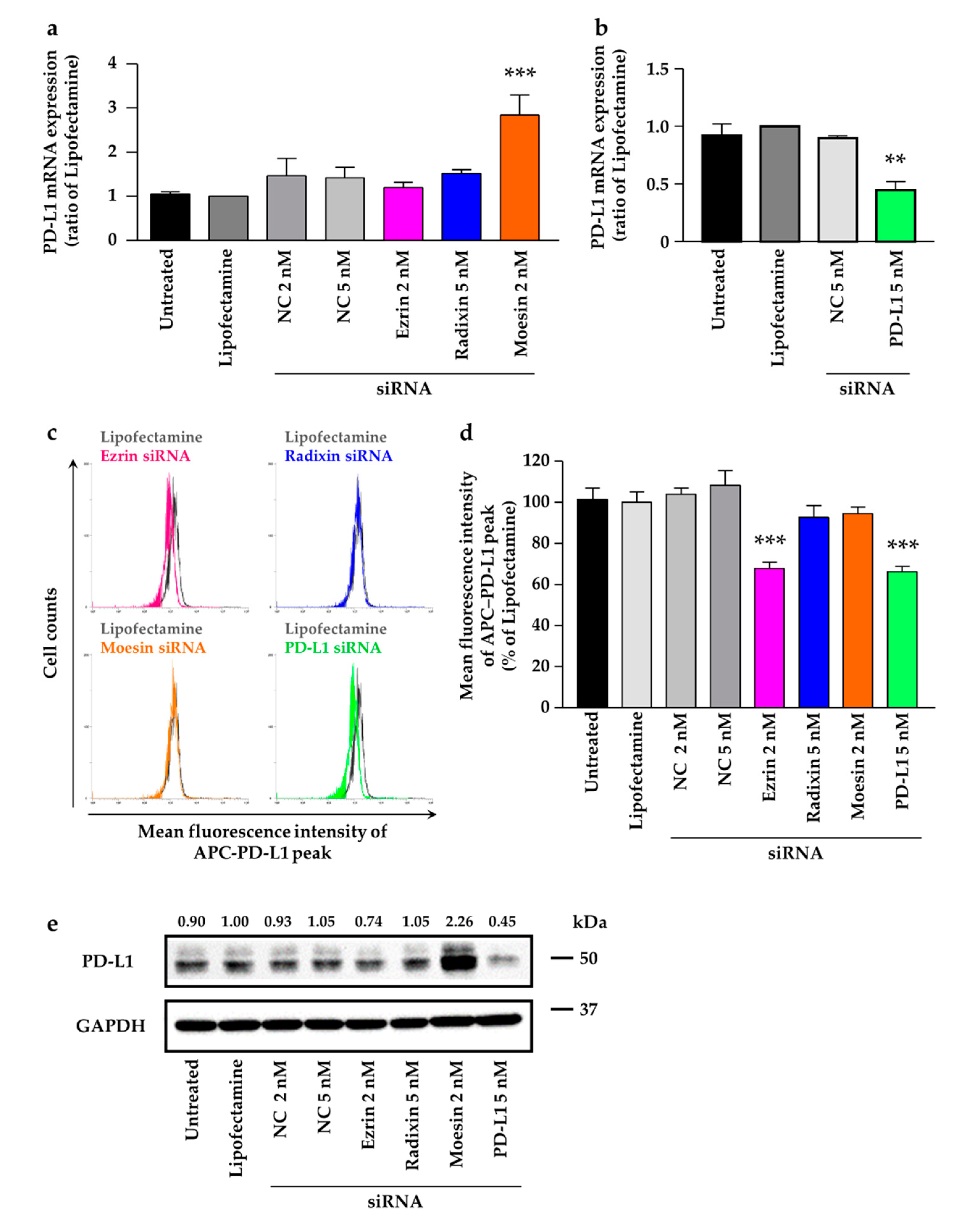 Molecules 26 05648 g006
