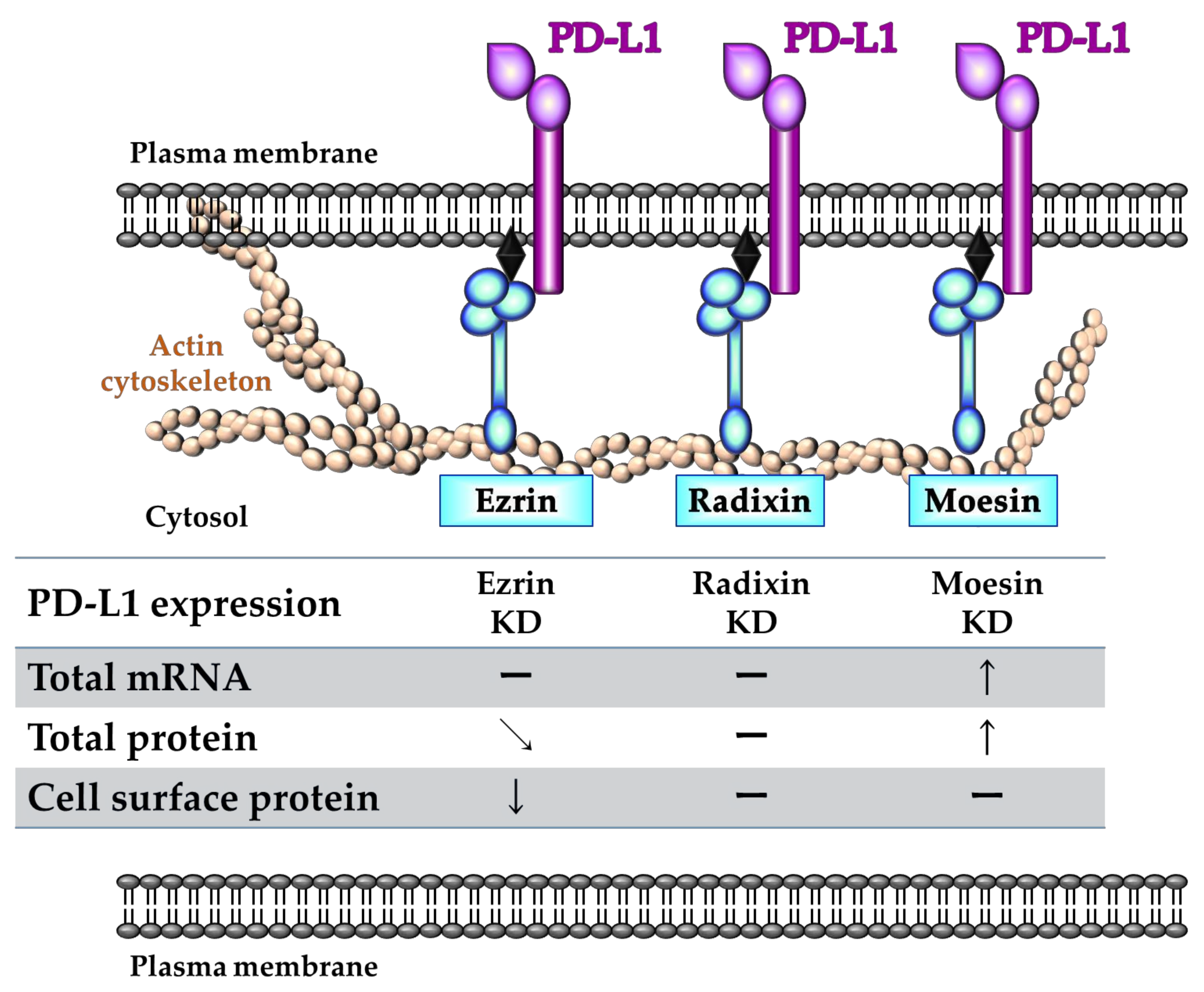 Molecules 26 05648 g008