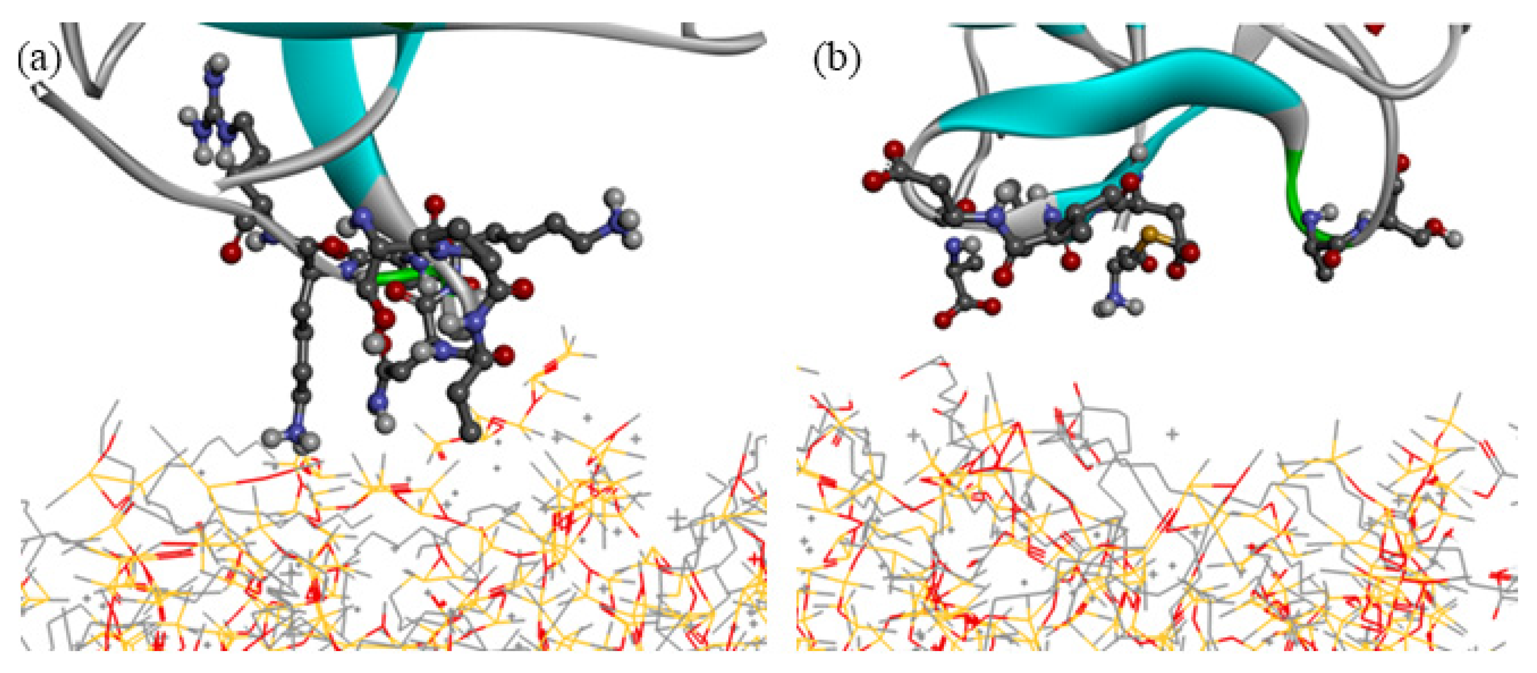 Molecules 26 05660 g003