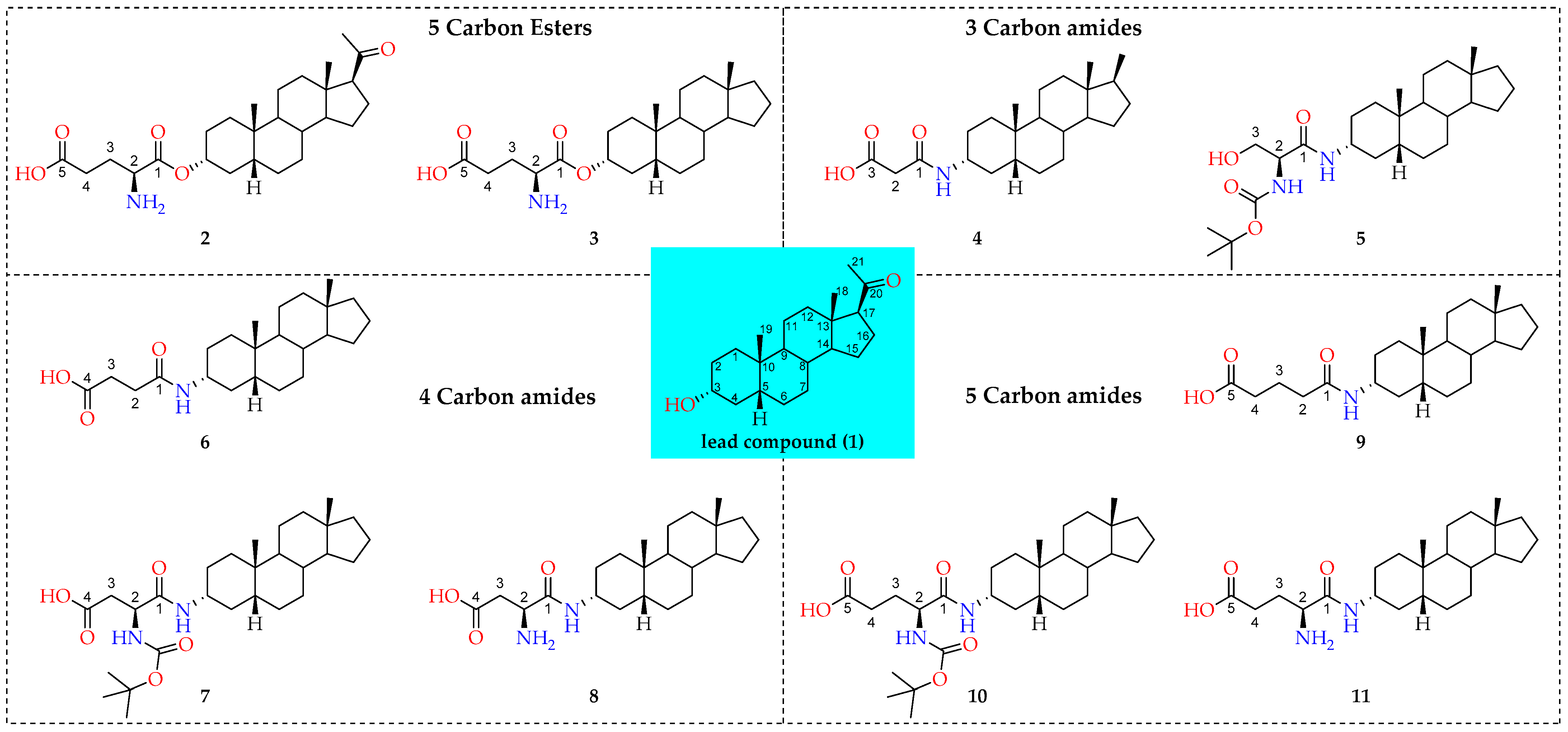Molecules 26 05662 g001