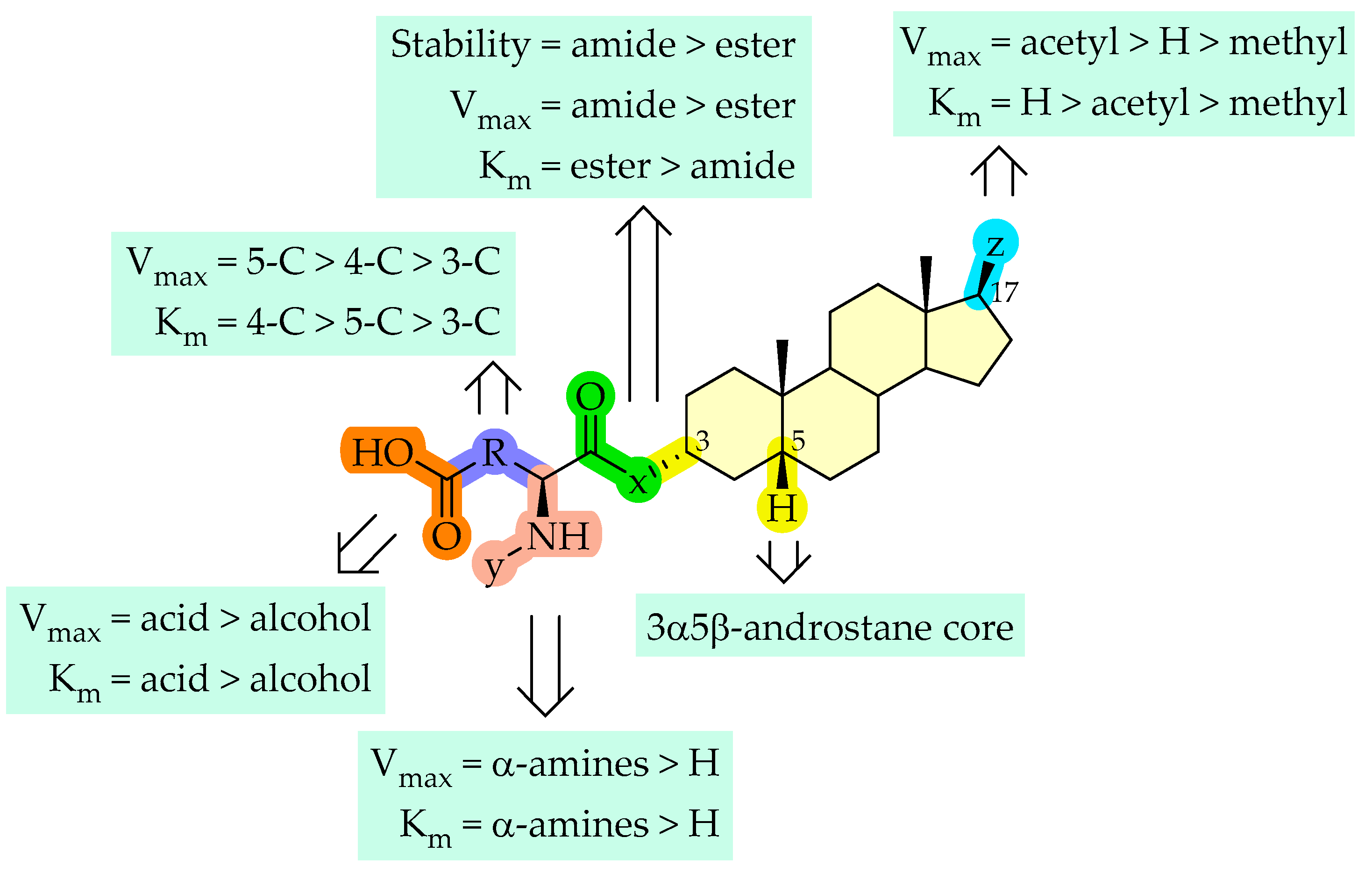 Molecules 26 05662 g008