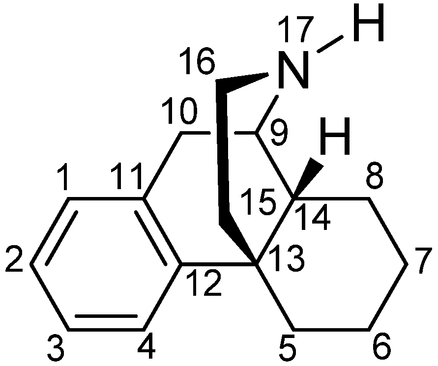 Molecules 26 05677 g001
