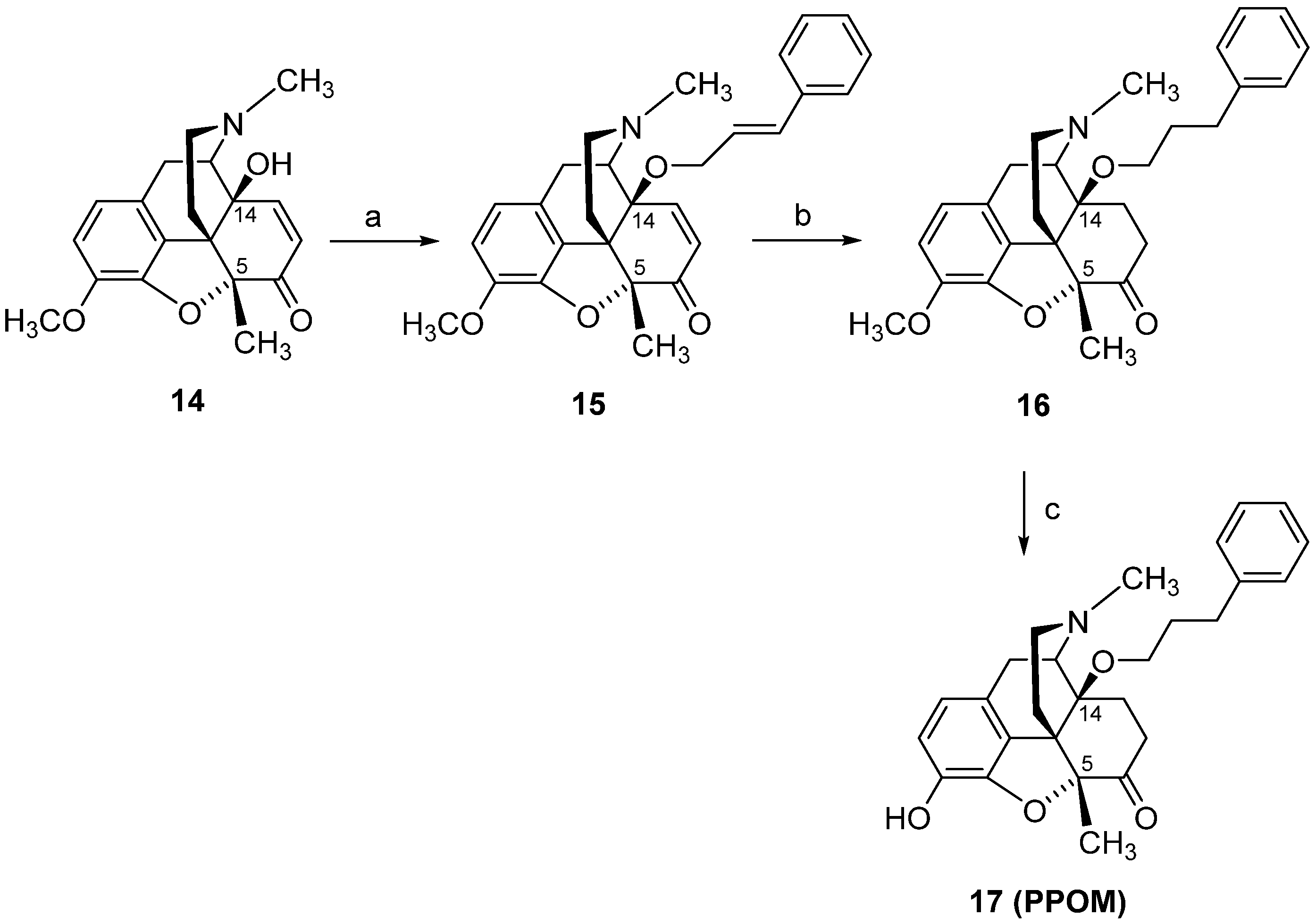 Molecules 26 05677 sch007