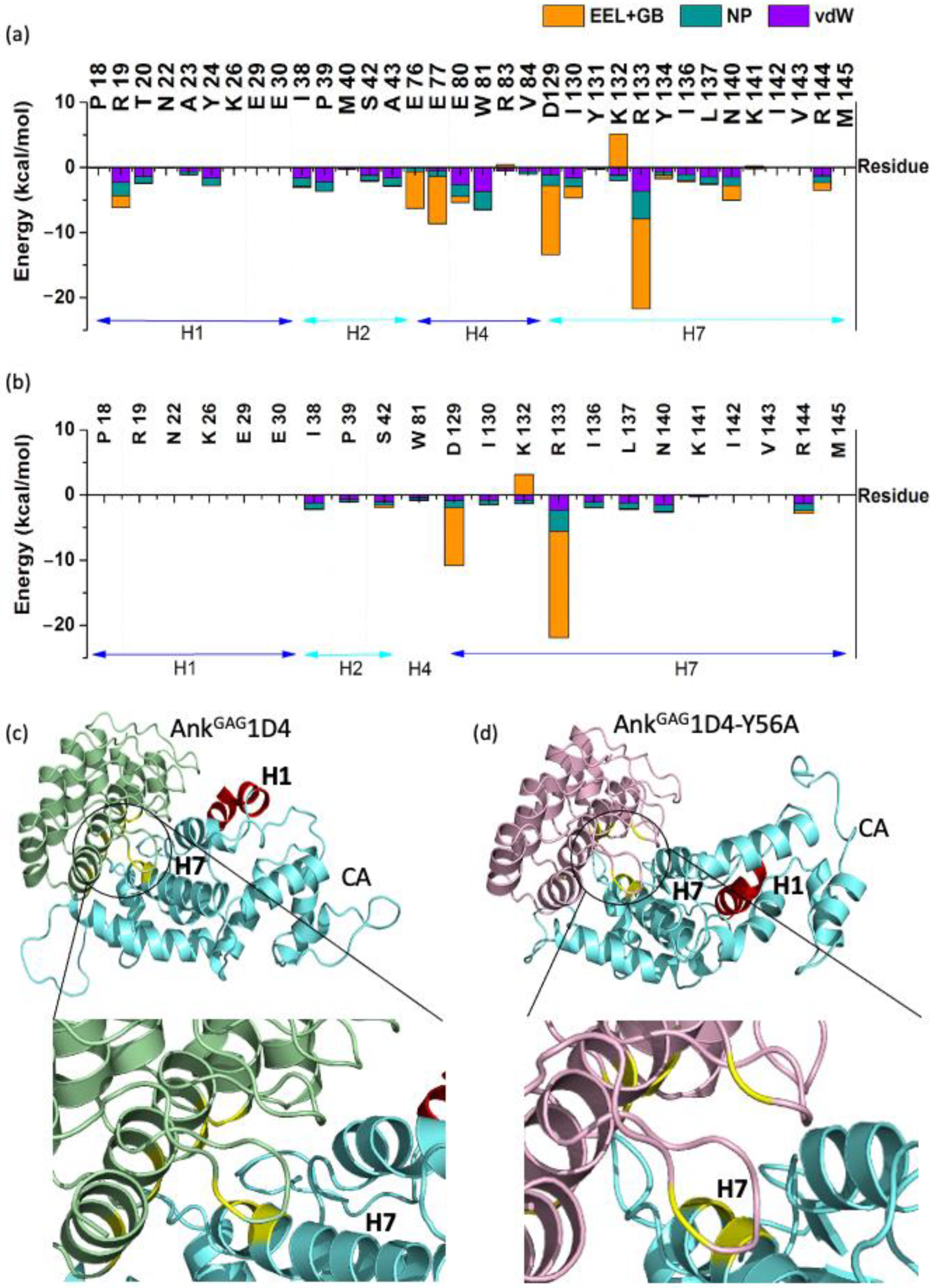 Molecules 26 05696 g002