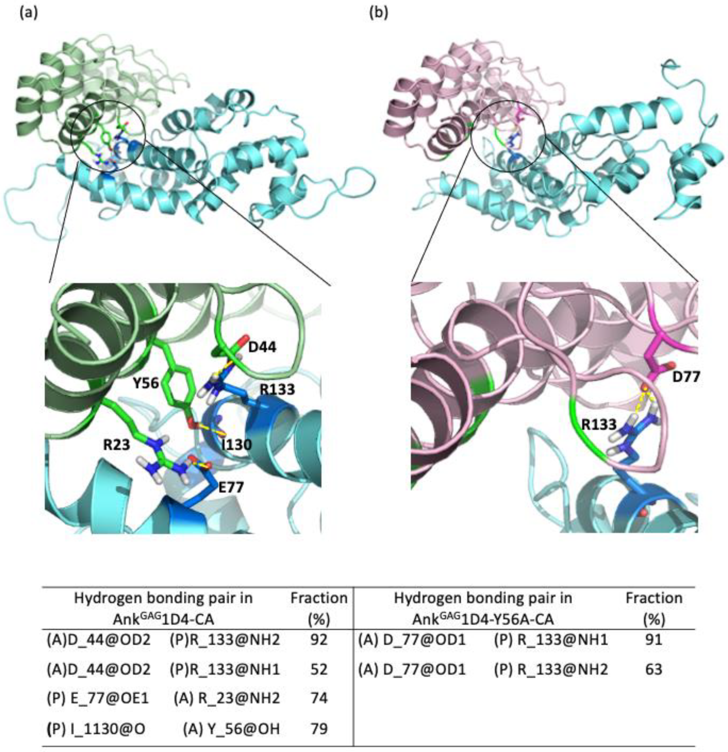 Molecules 26 05696 g003