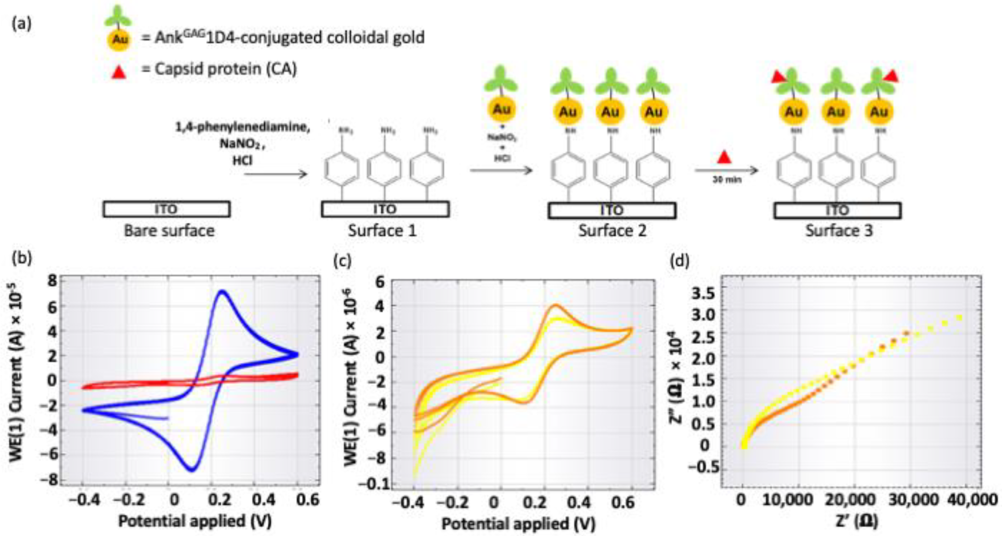 Molecules 26 05696 g005