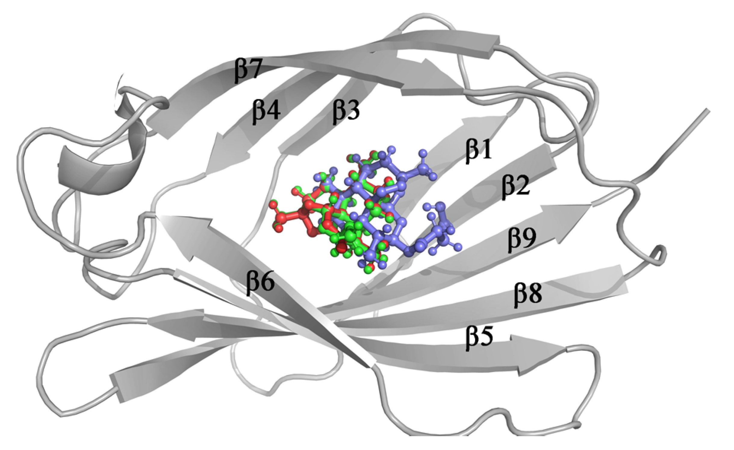 Molecules 26 05698 g003 Molecules 26 05698 g003