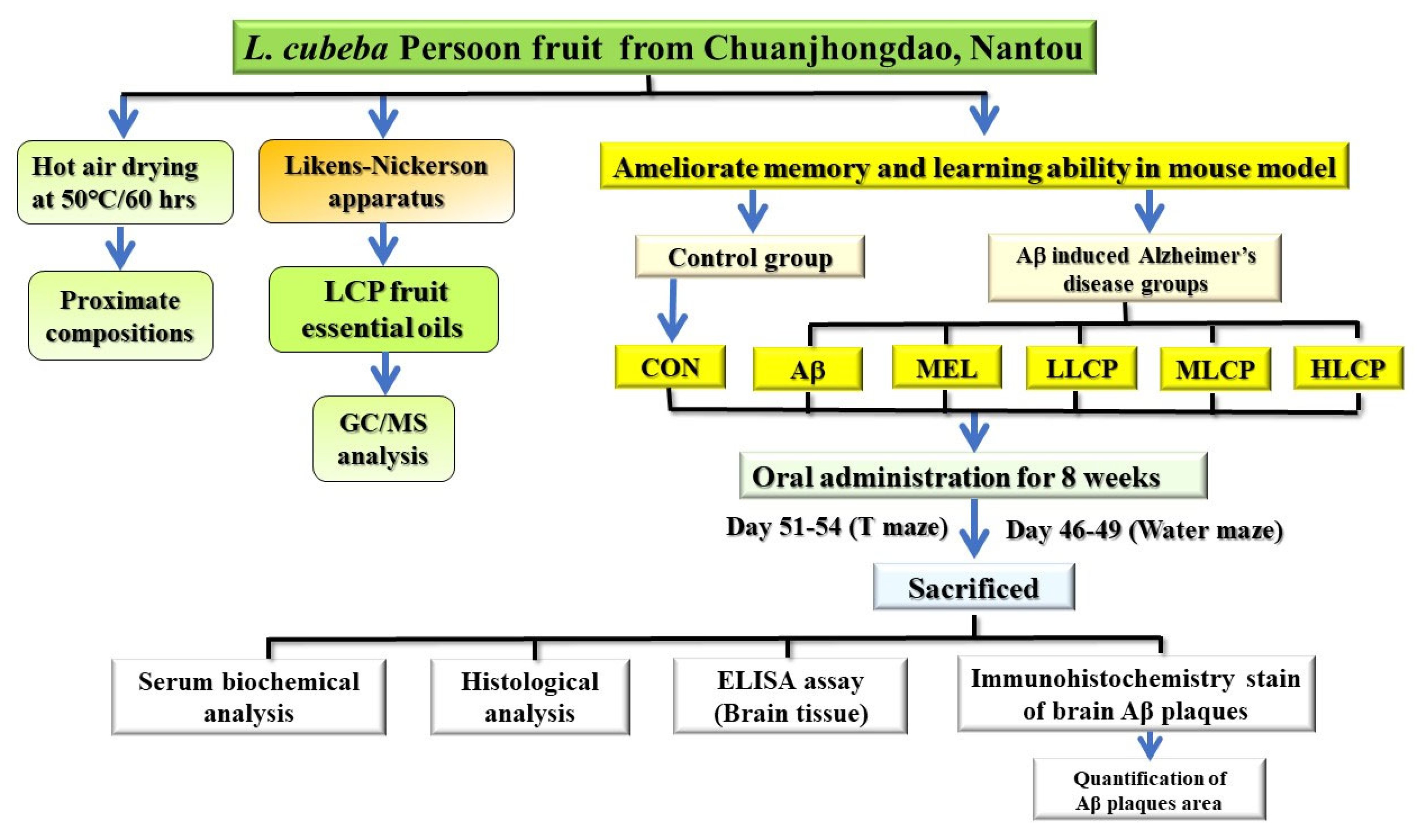 Molecules 26 05709 g001