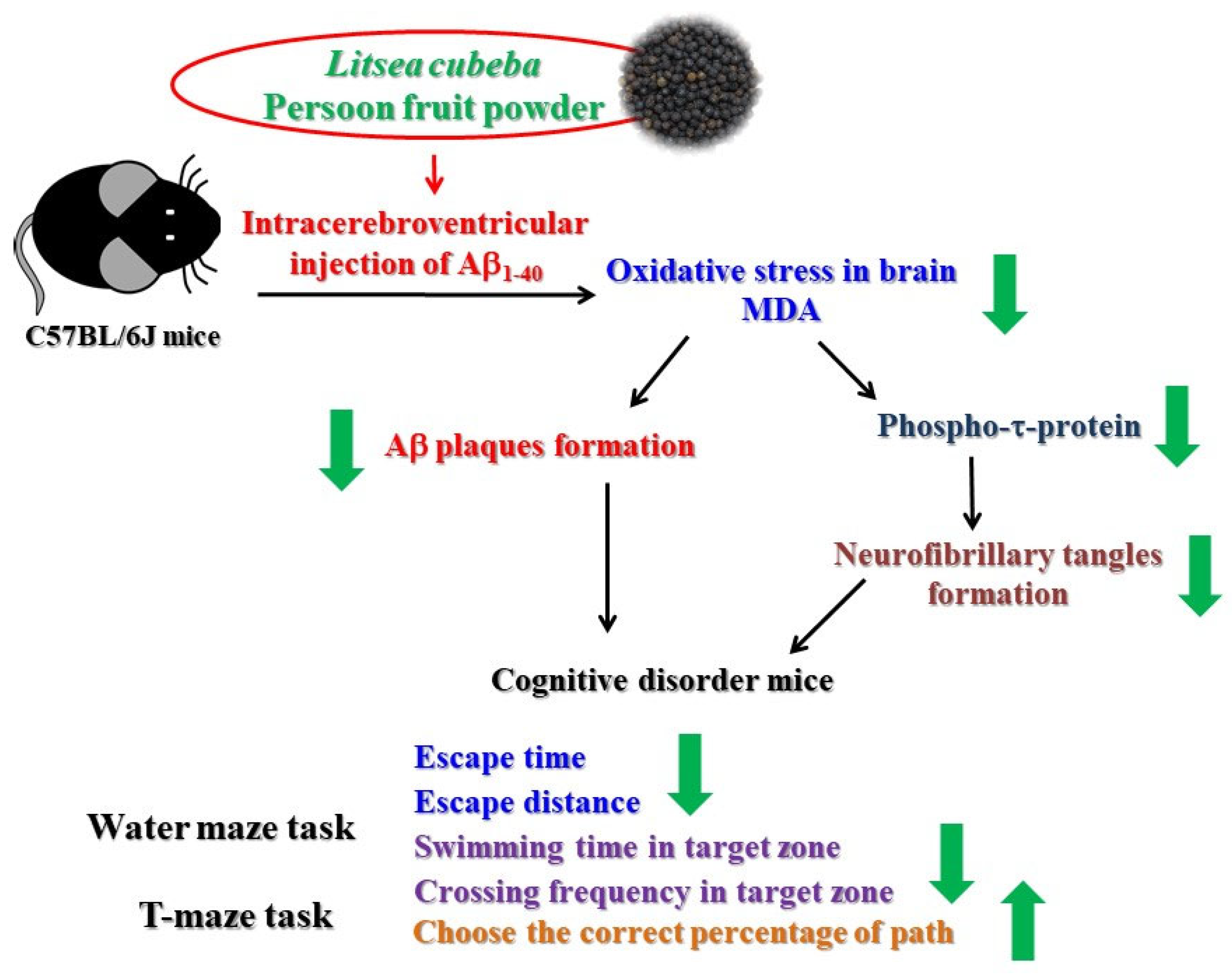 Molecules 26 05709 g005