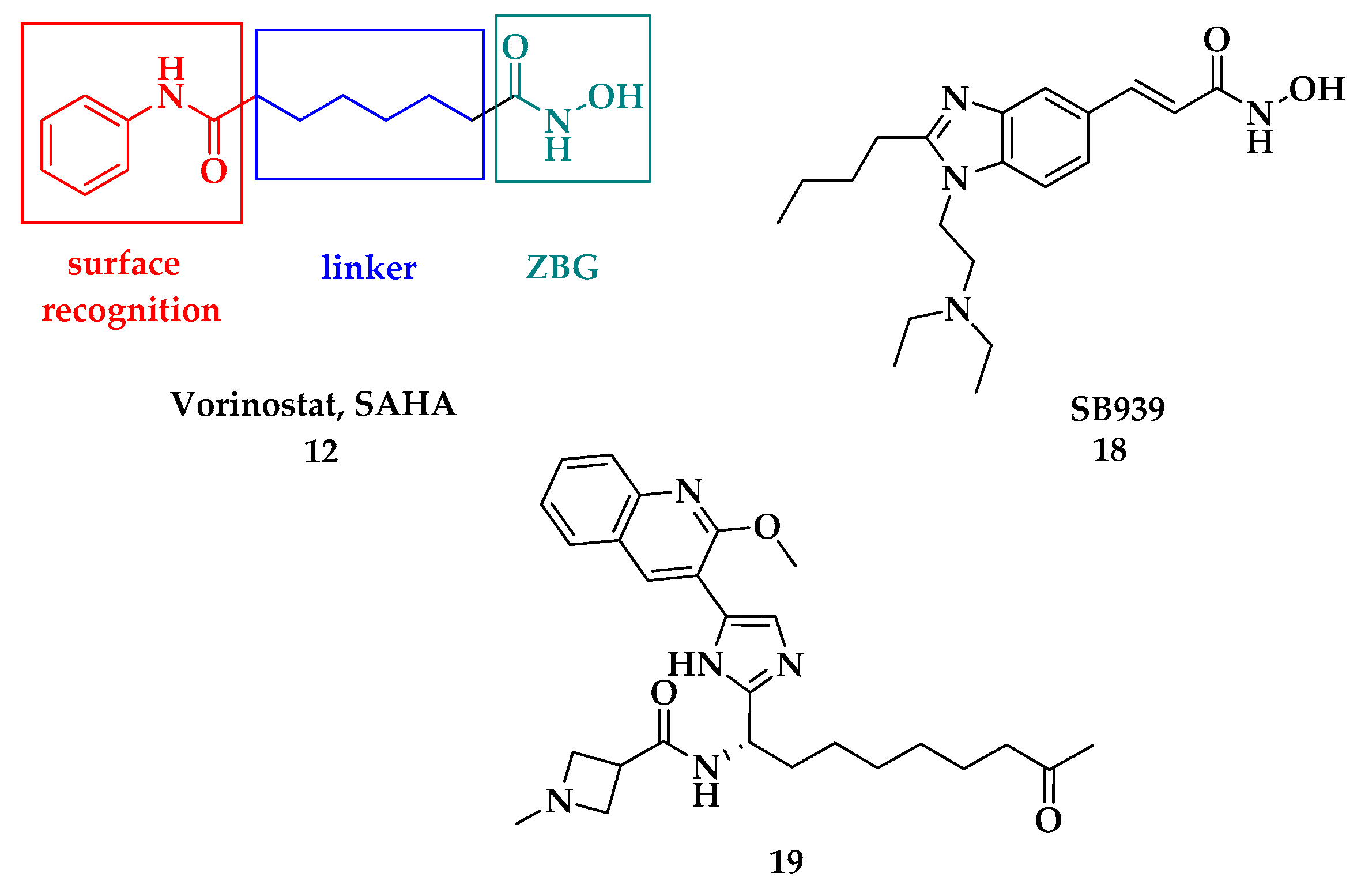 Molecules 26 05711 g005