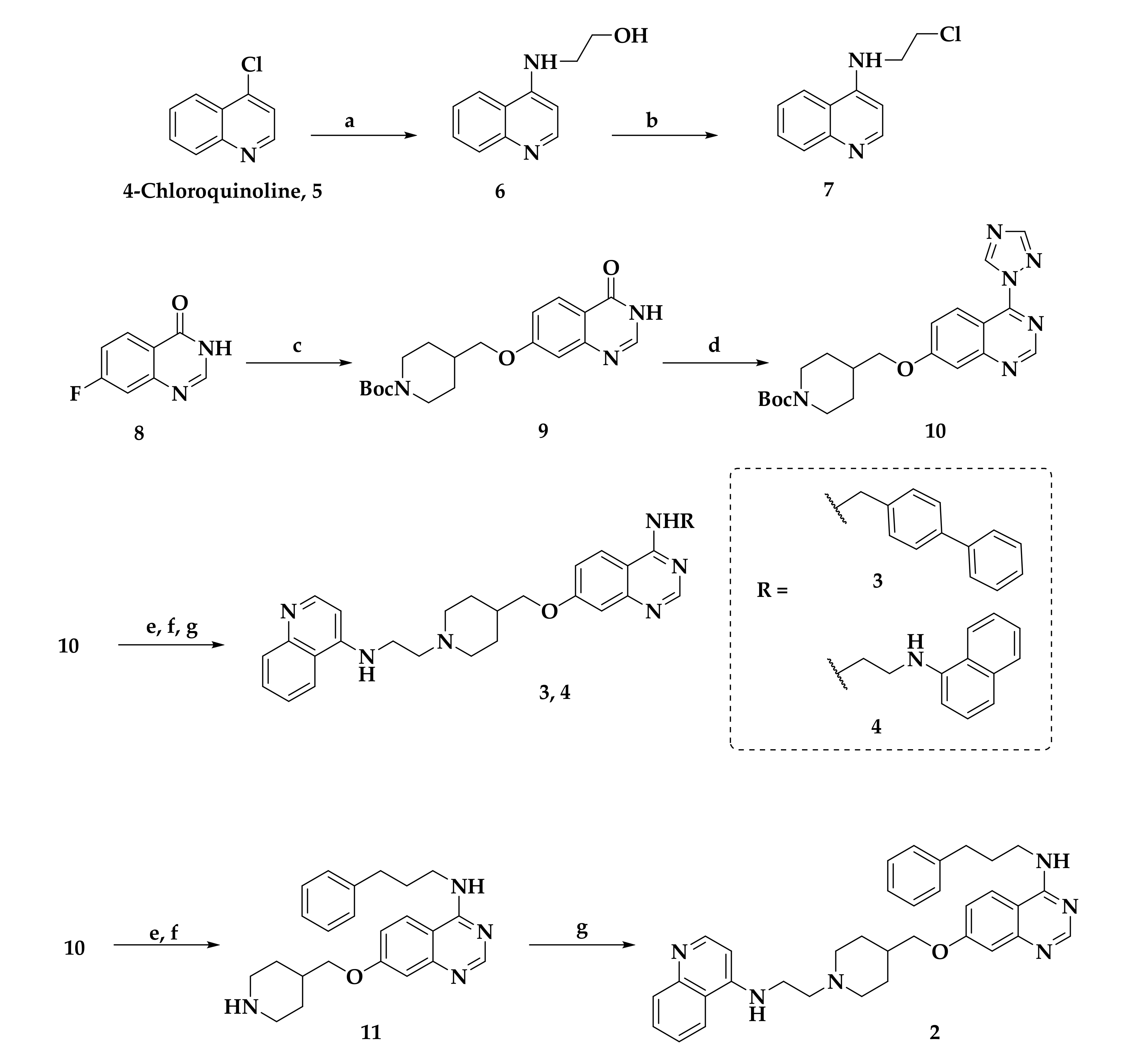 Molecules 26 05711 sch001