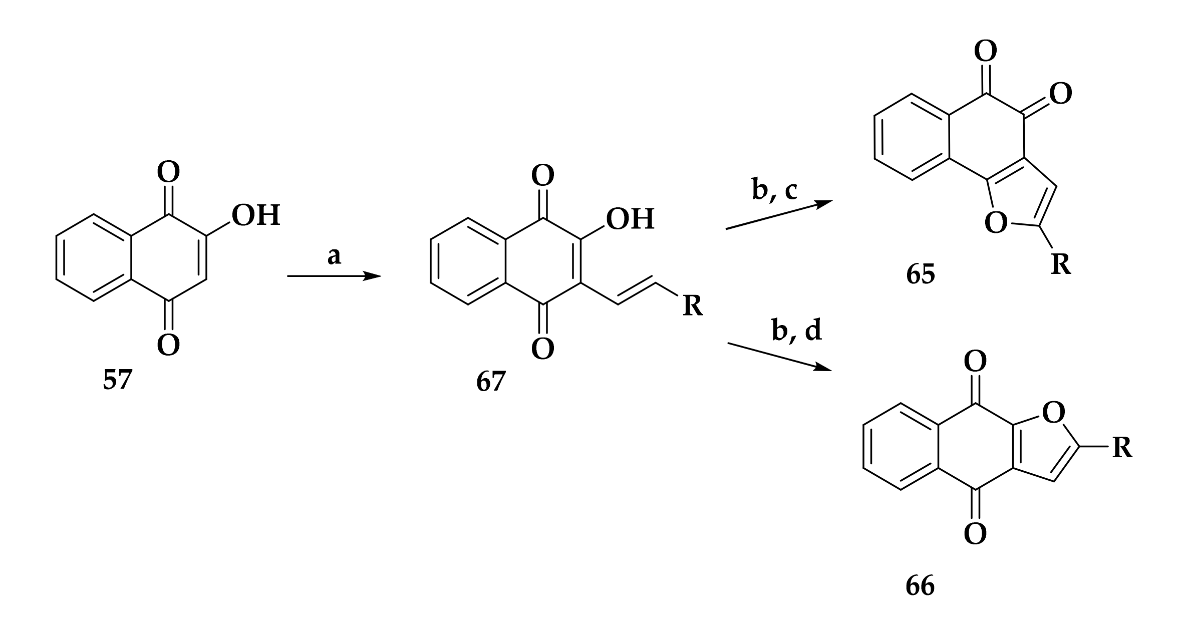 Molecules 26 05711 sch009