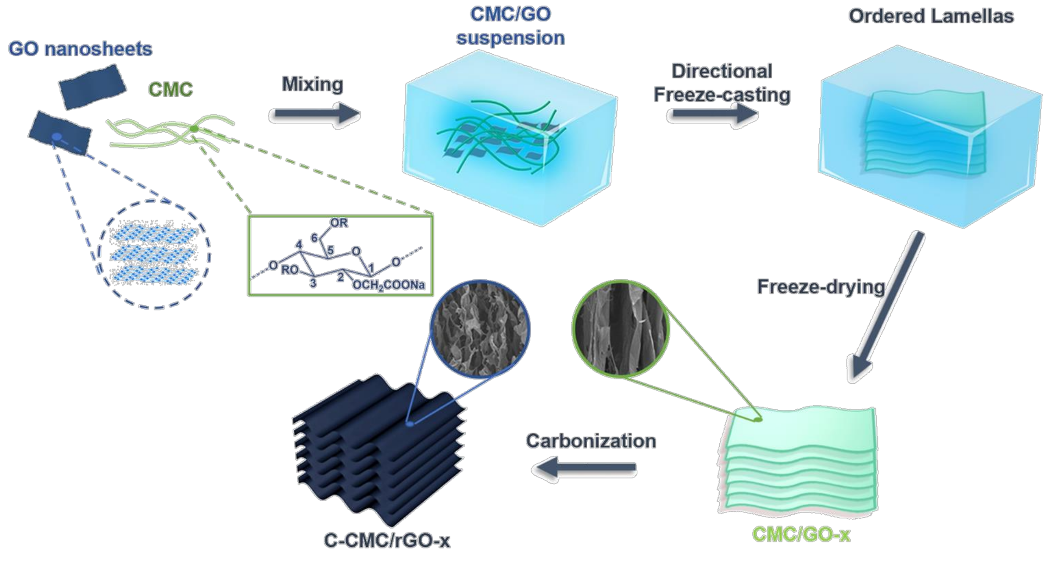 Molecules 26 05715 g001