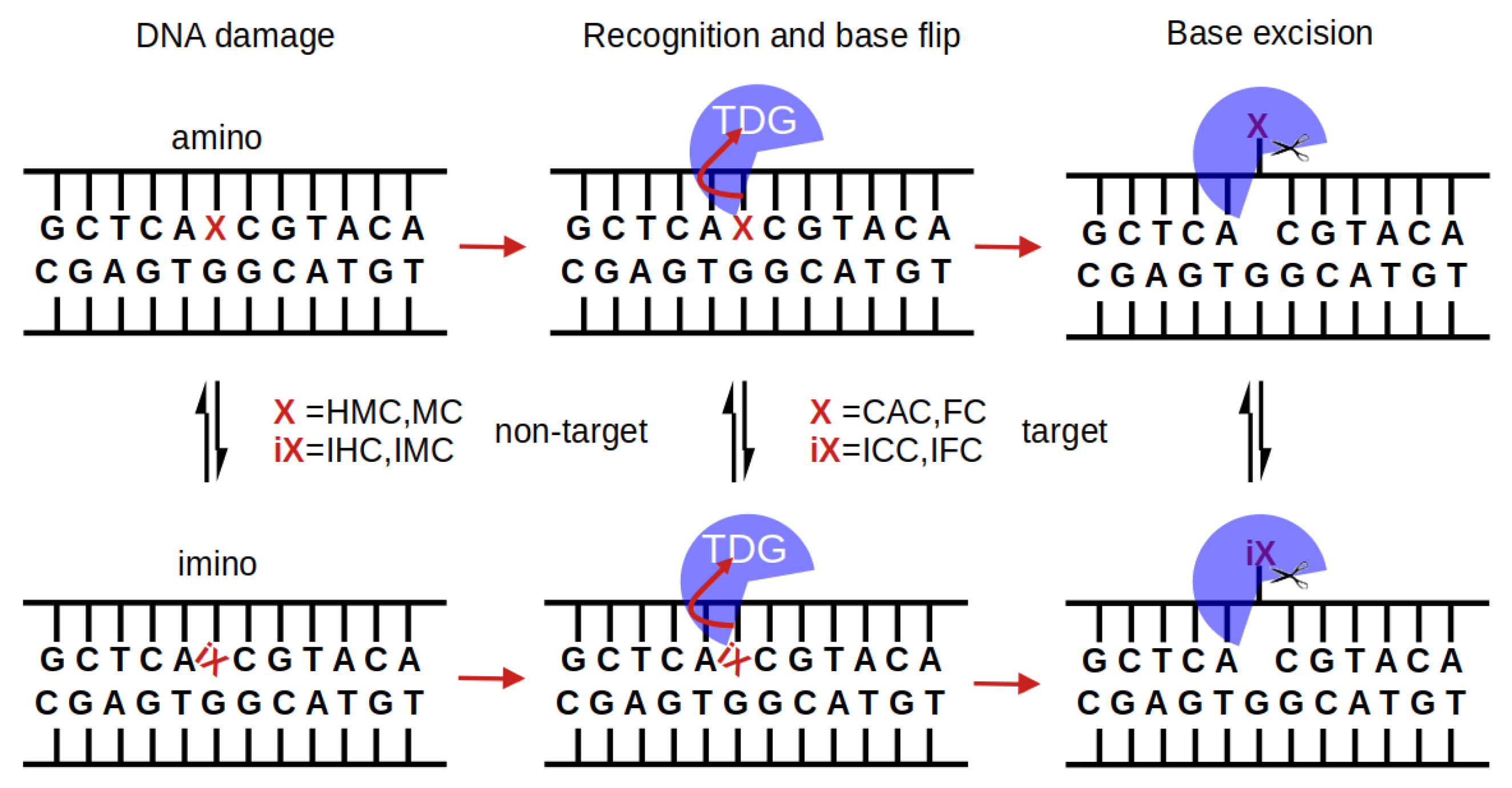 Molecules 26 05728 g001