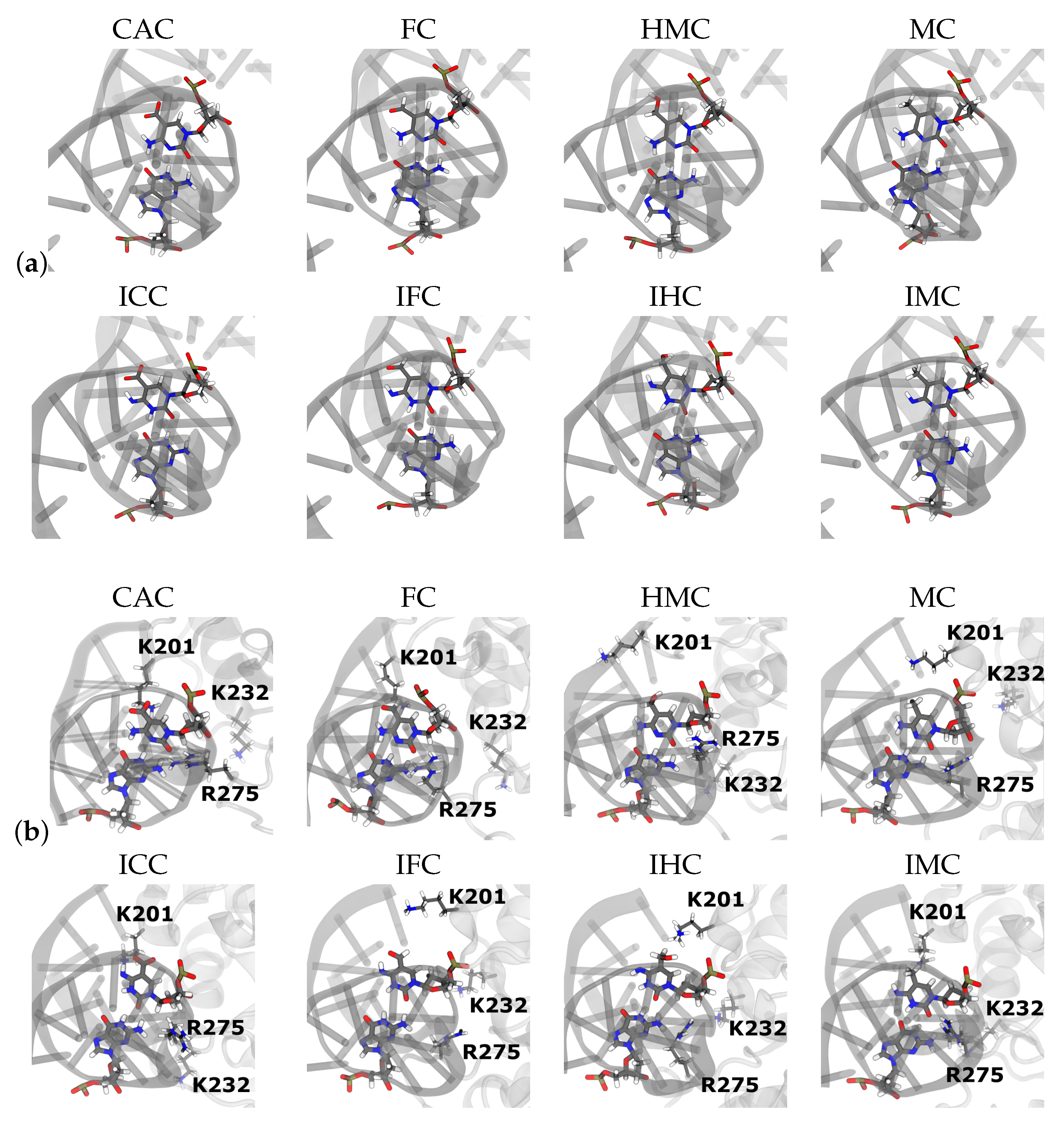 Molecules 26 05728 g009