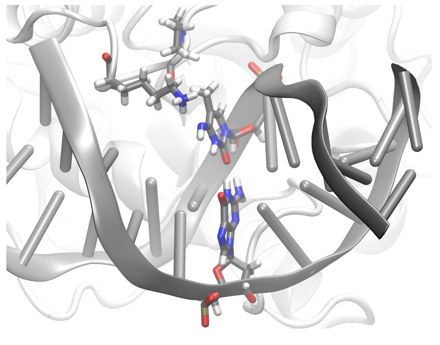 Molecules 26 05728 g013